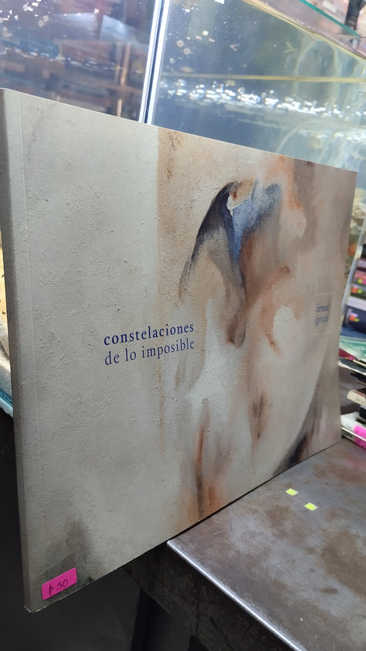 CONSTELACIONES DE LO IMPOSIBLE POR IRMA GRIZA LIBRO USADO ARTE ALDAMA