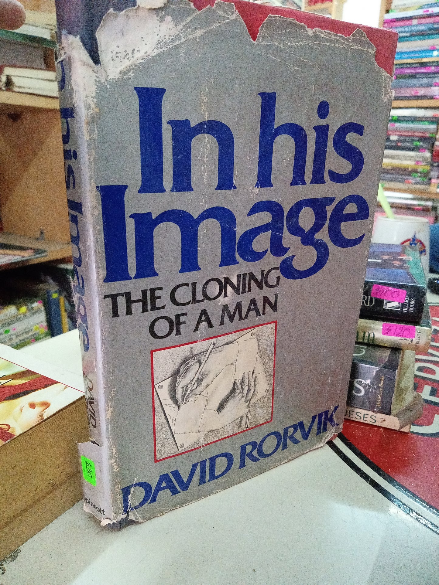IN HIS IMAGE THE CLONING OF A MAN POR DAVID RORVIK USADO IDIOMAS LITERARIO 207
