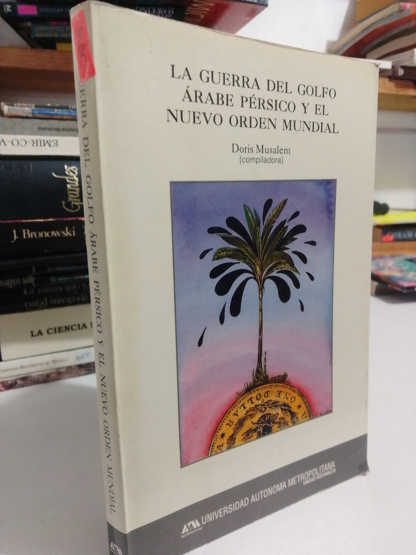 LA GUERRA DEL GOLFO ARABE PERSICO Y EL NUEVO ORDEN MUNDIAL POR DORIS MUSALEM USADO HISTORIA JUAREZ