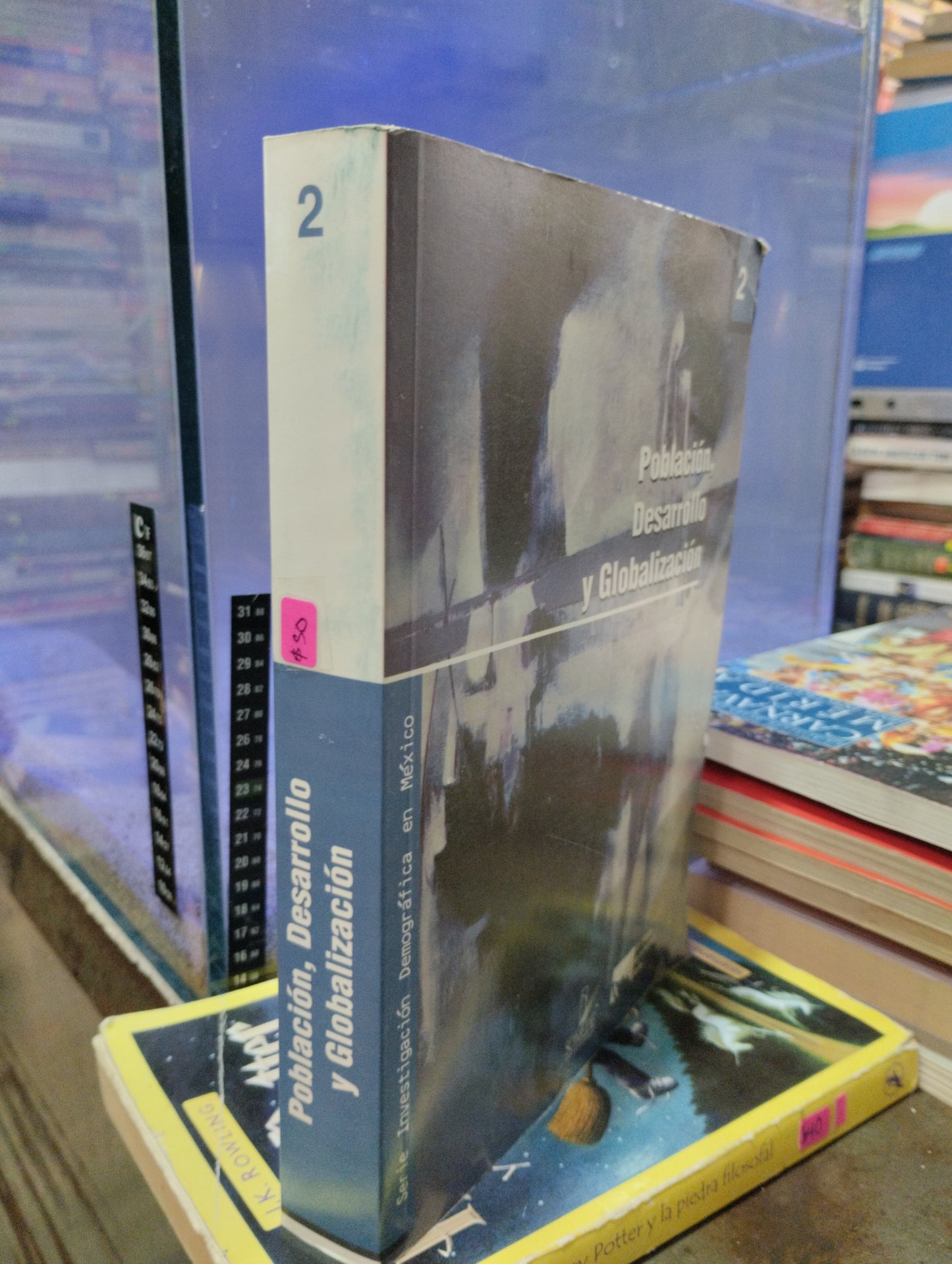POBLACION DESARROLLO Y GLOBALIZACION USADOS SOCIOLOGIA ALDAMA