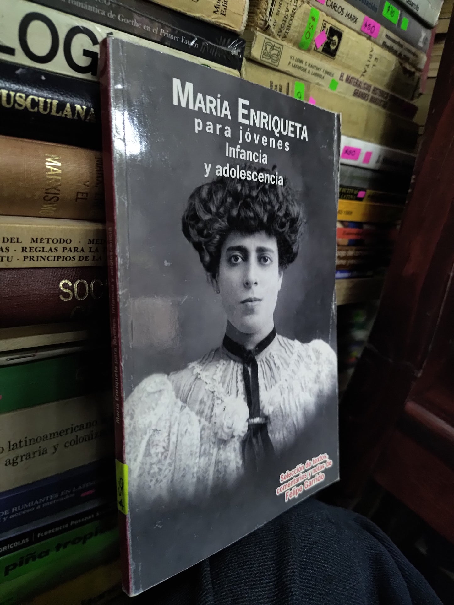 MARIA ENRIQUETA PARA JOVENES INFANCIA Y ADOLESCENCIA USADO NOVELAS LITERARIO 207