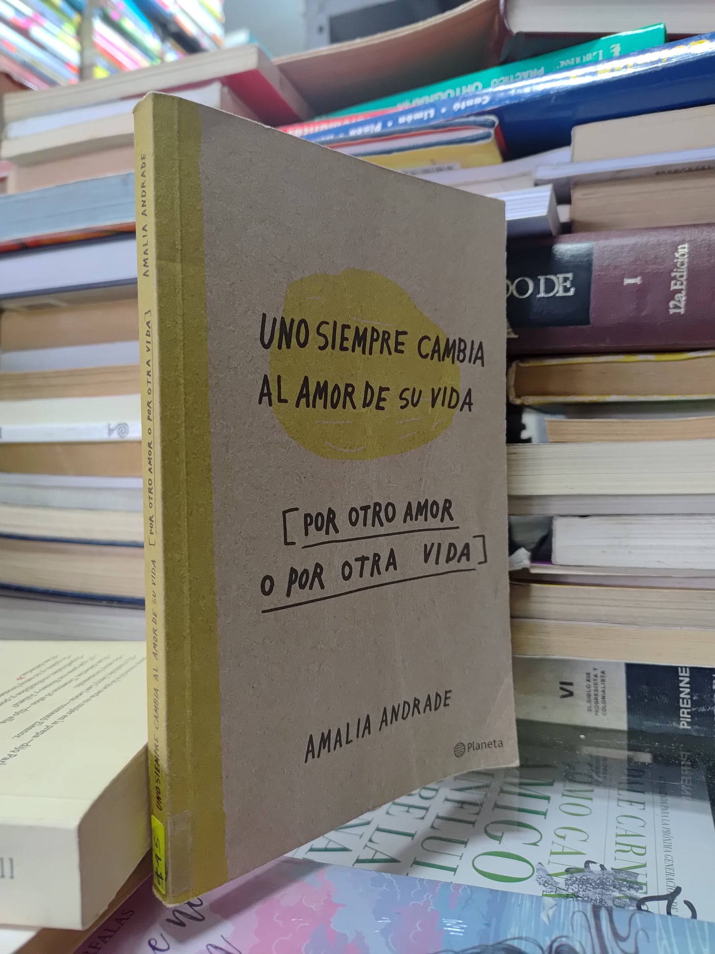 UNO SIEMPRE CAMBIA AL AMOR DE SU VIDA POR OTRO AMOR O POR OTRA VIDA POR AMALIA ANDRADE USADO NOVELAS JUAREZ