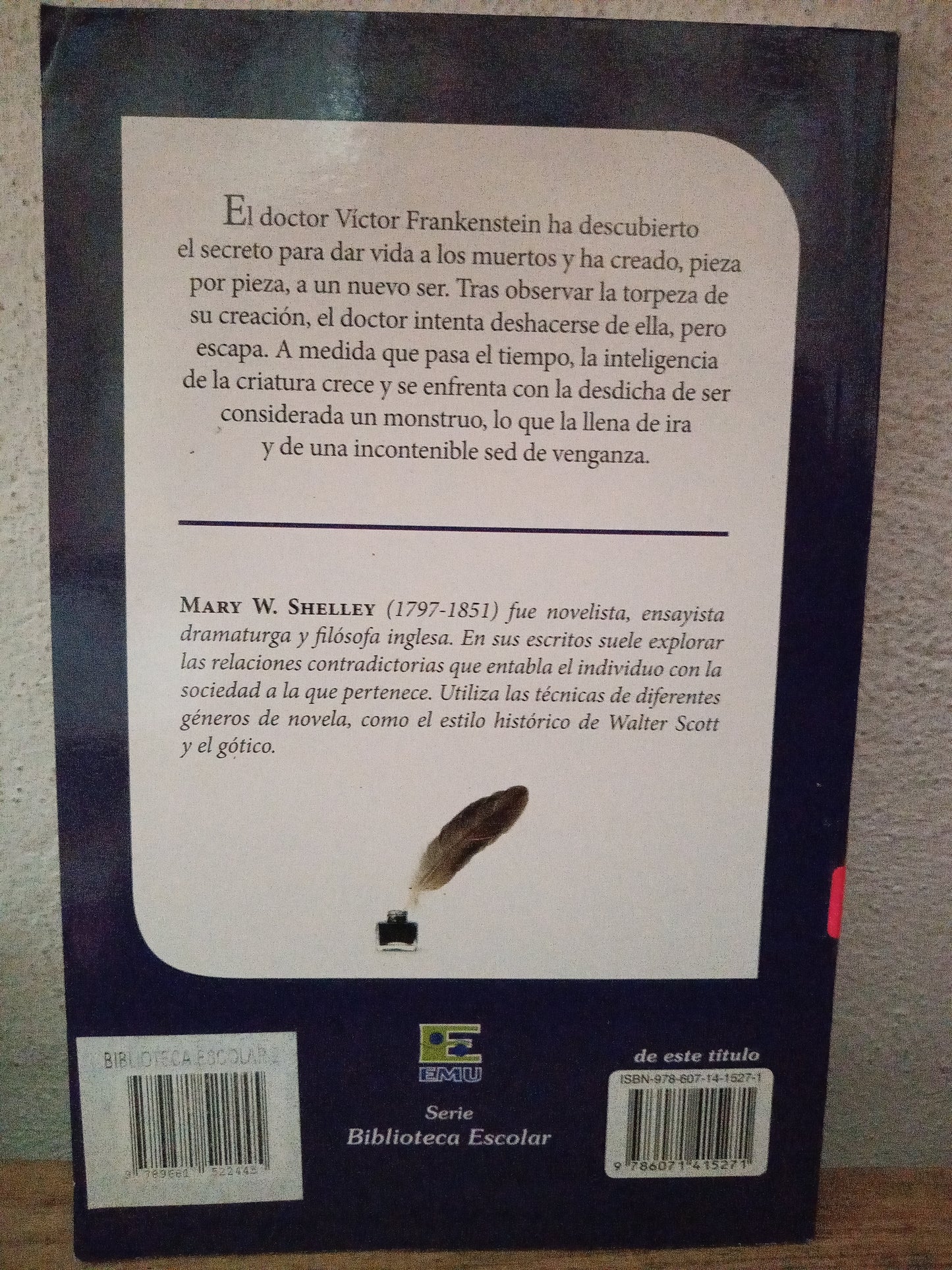 FRANKENSTEIN MARY W. SHELLEY USADO INFANTIL LITERARIO 305