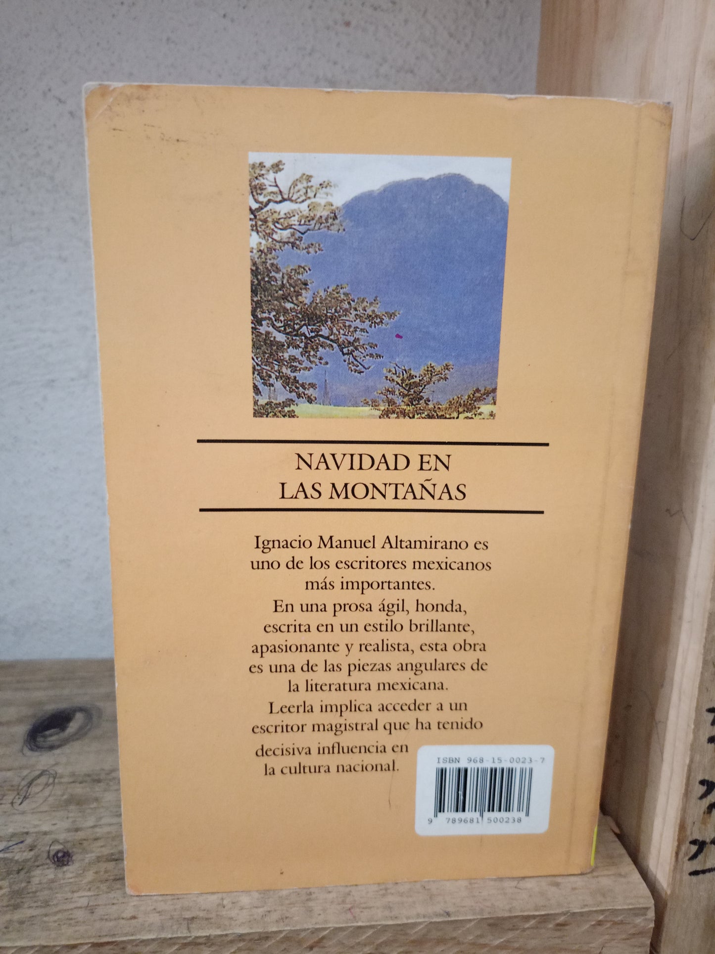 NAVIDAD EN LAS MONTAÑAS POR IGNACIO MANUEL ALTAMIRANO USADO NOVELA LITERARIA 305