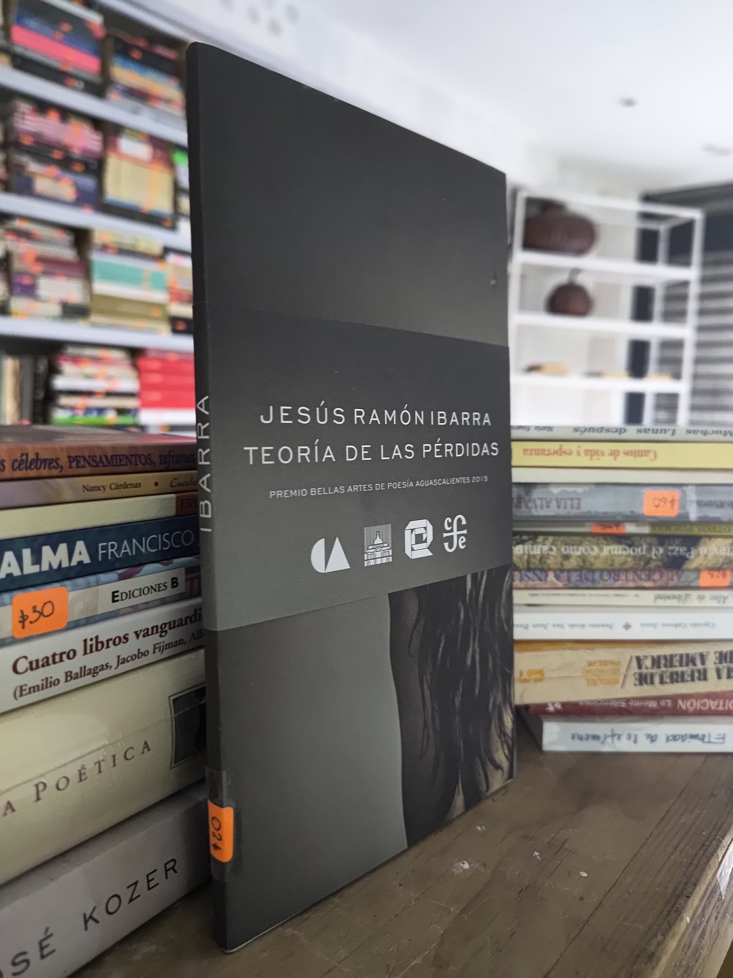 TEORIA DE LAS PERDIDAS POR JESUS RAMON IBARRA USADO POESIA JUAREZ 515