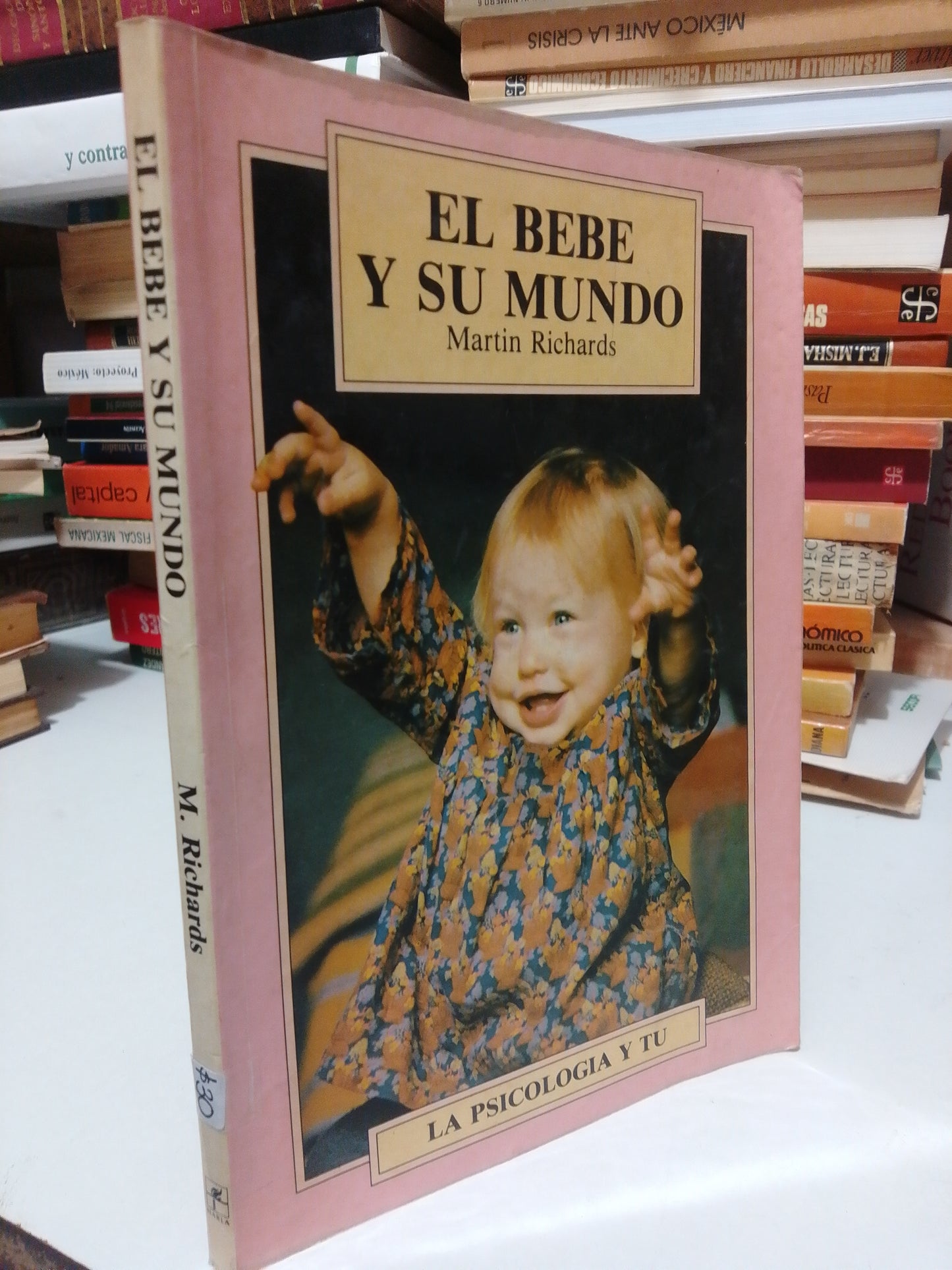 EL BEBE Y SU MUNDO POR MARTIN RICHARDS USADO PSICOLOGIA JUAREZ