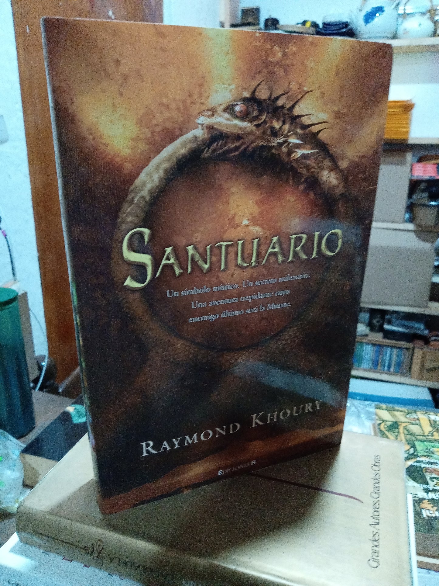SANTURIO POR RAYMOND KHOURY USADO NOVELA ALDAMA