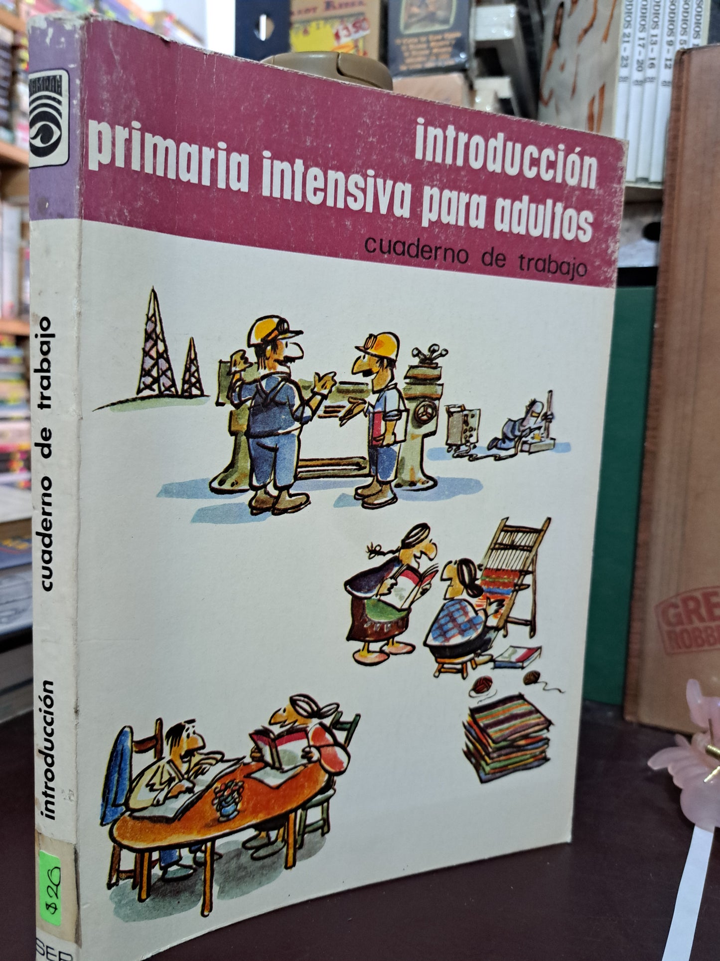INTRODUCCIÓN CUADERNO DE TRABAJO USADO EDUCACIÓN LITERARIO 305.