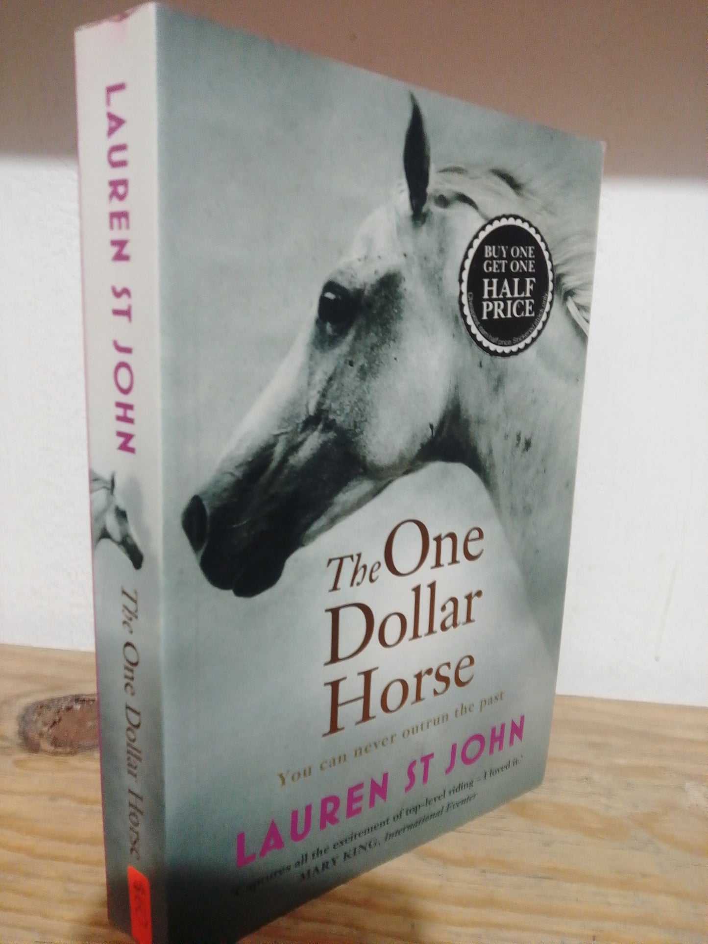 THE ONE DOLLAR HORSE POR LAUREN ST JOHN USADO IDIOMAS JUAREZ