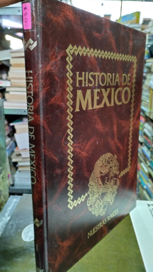 HISTORIA DE MEXICO 1 LIBRO USADO HISTORIA ALDAMA