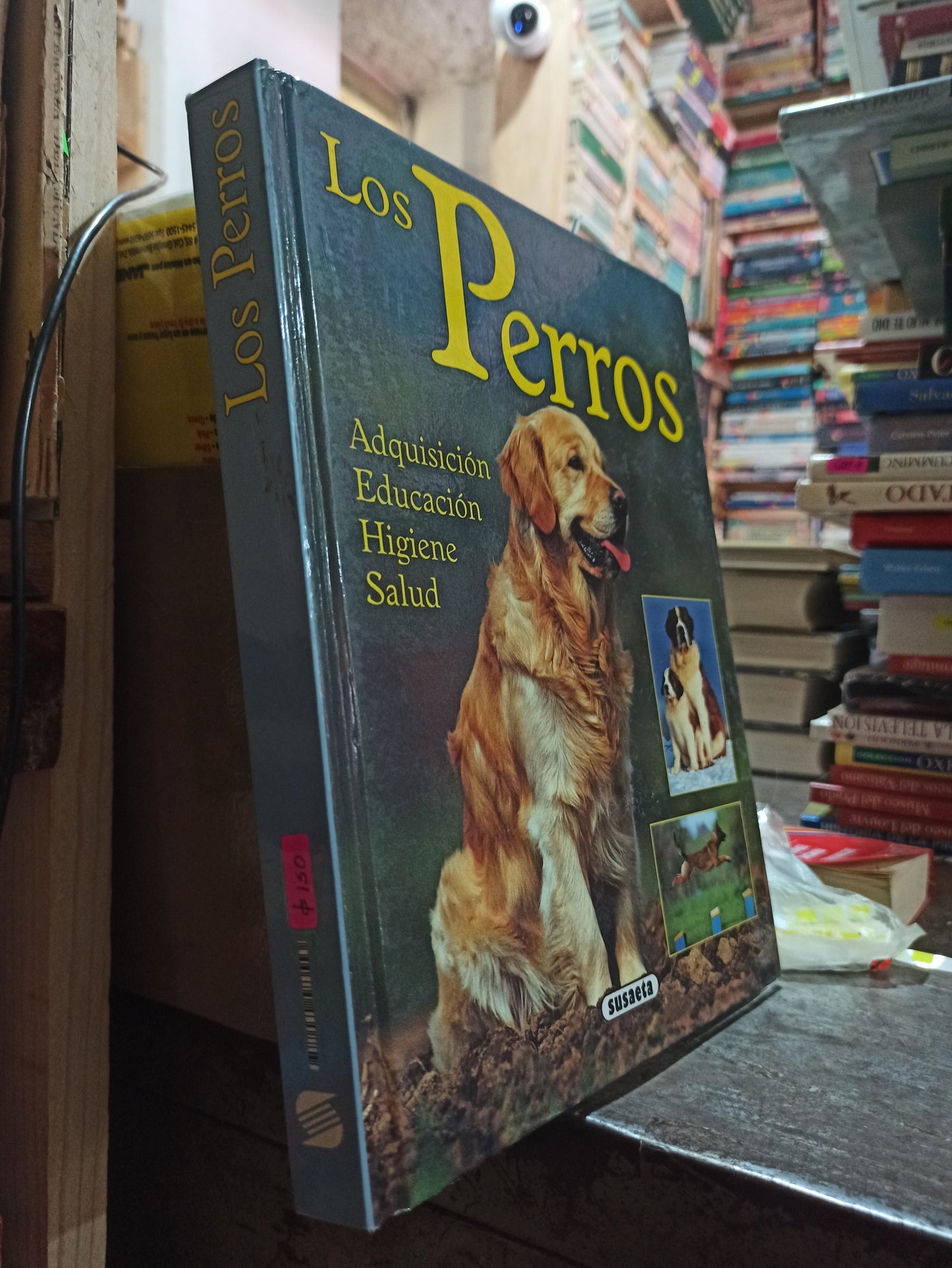 LOS PERROS POR EDITORIAL SUSAETA USADO BIOLOGÍA ALDAMA