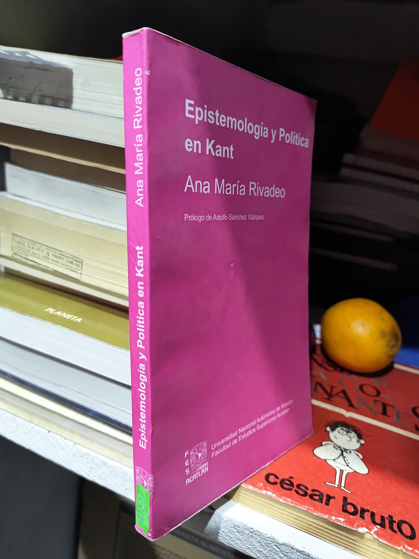 EPISTEMOLOGIA Y POLITICA EN KANT POR ANA MARIA RIVADEO USADO SOCIOLOGIA JUAREZ