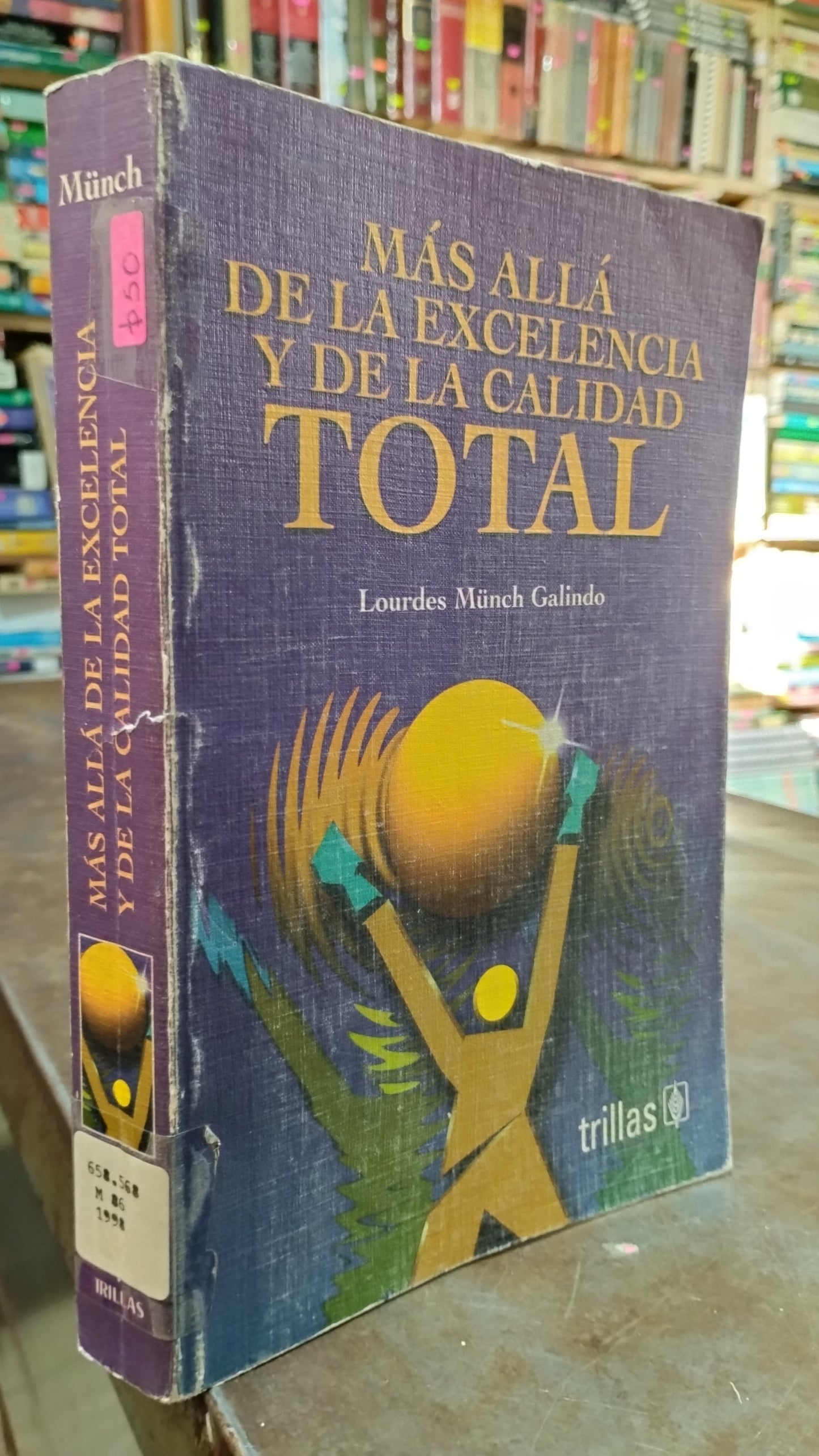 MAS ALLA DE LA EXCELENCIA Y DE LA CALIDAD TOTAL POR LOURDES MÜNCH GALINDO LIBRO USADO ADMINISTRACION ALDAMA