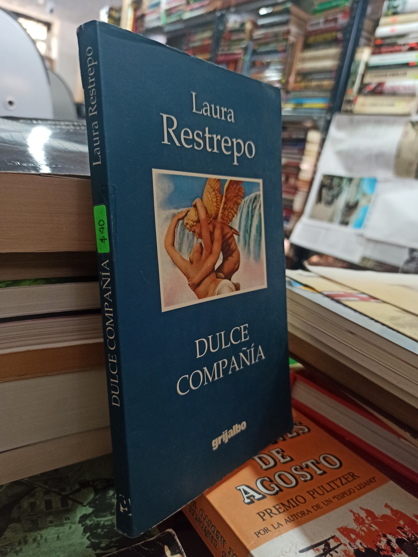 DULCE COMPAÑÍA POR LAURA RESTREPO USADO NOVELAS ALDAMA