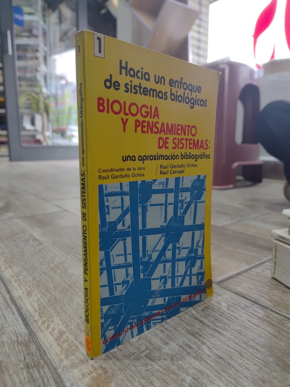 HACIA UN ENFOQUE DE SISTEMAS BIOLOGICOS BIOLOGIA Y PENSAMIENTO DE SISTEMAS POR VARIOS AUTORES USADO BIOLOGIA JUAREZ 515