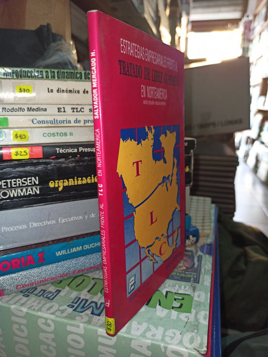 ESTRATEGIAS EMPRESARIALES FRENTE AL TRATADO DE LIBRE COMERCIO SALVADOR MERCADO H. USADO ADMINISTRACIÓN LITERARIO 207