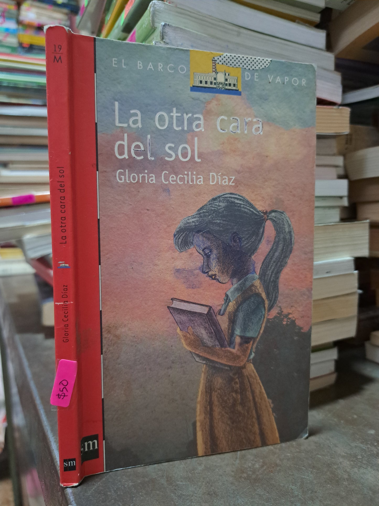 LA OTRA CARA DEL SOL GLORIA CECILIA DÍAZ USADO INFANTIL ALDAMA
