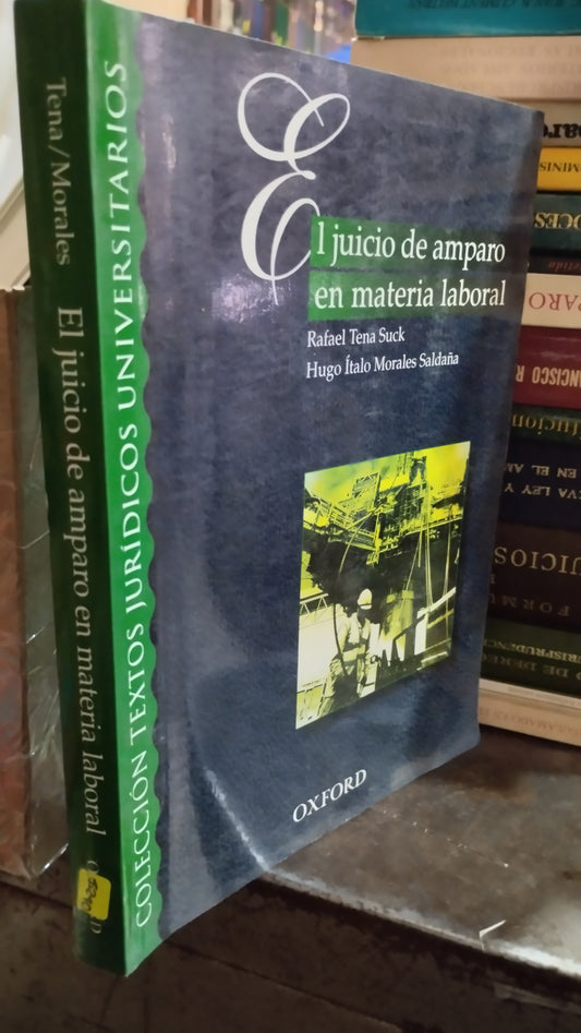 EL JUICIO DE AMPARO EN MATERIA LABORAL POR RAFAEL TENA SUCK LIBRO USADO DERECHO ALDAMA