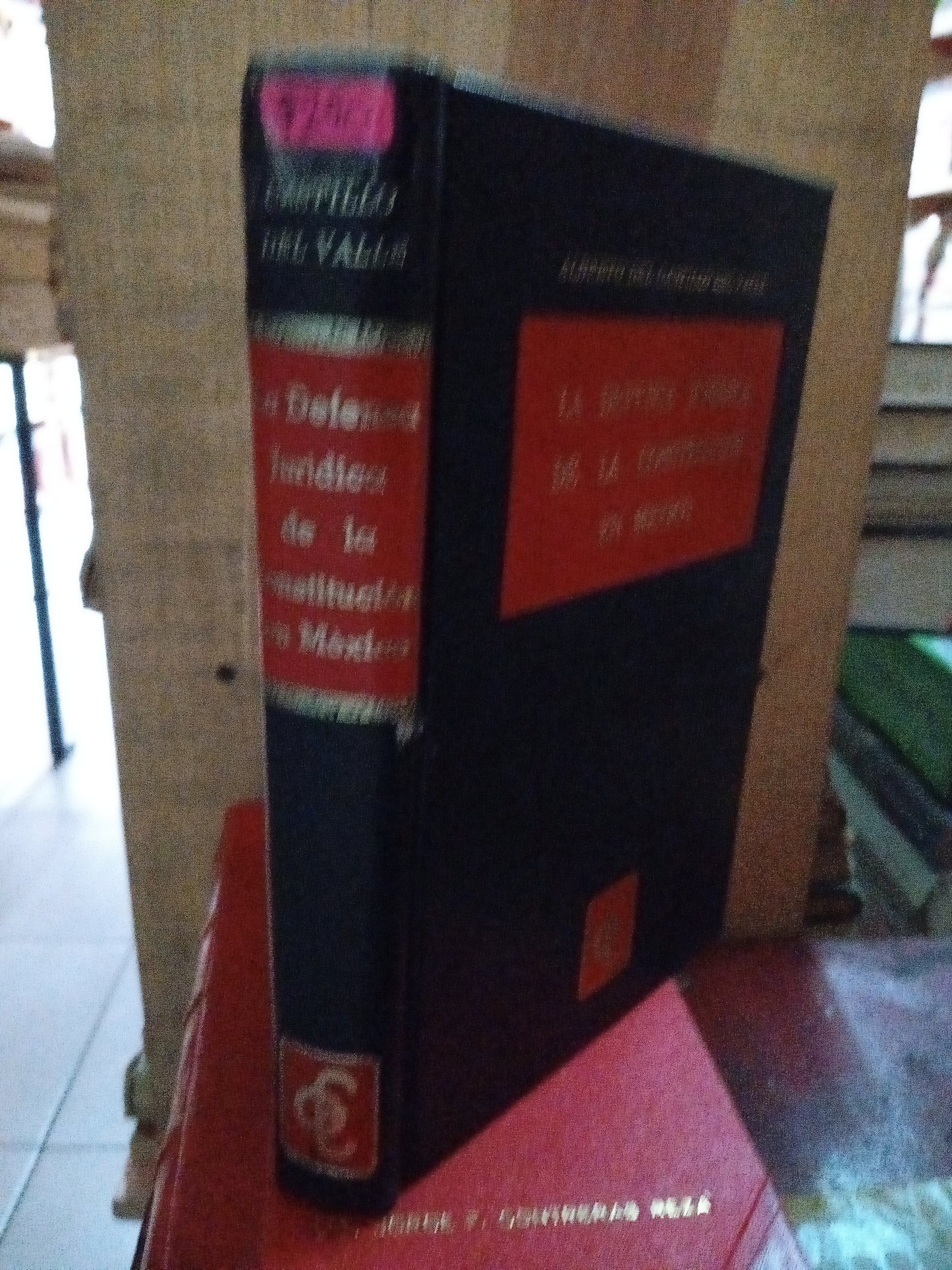 LA DEFENSA JURIDICA DE LA CONSTITUCION EN MEXICO POR ALBERTO DEL CASTILLO DEL VALLE USADO DERECHO LITERARIO 207