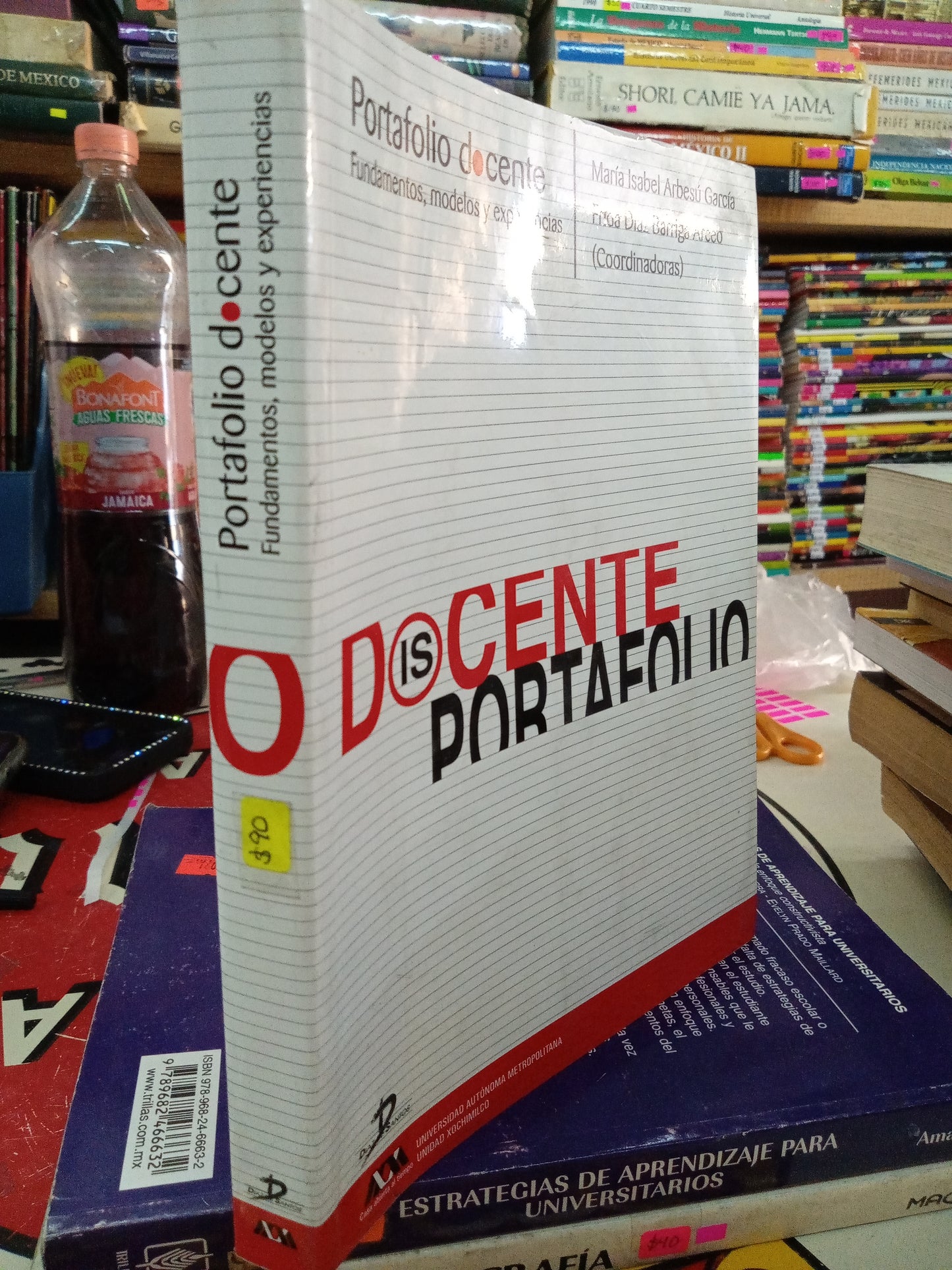 PORTAFOLIO DOCENTE FUNDAMENTOS MODELOS Y EXPERIENCIAS POR AUTORES VARIOS USADO EDUCACION LITERARIO 207