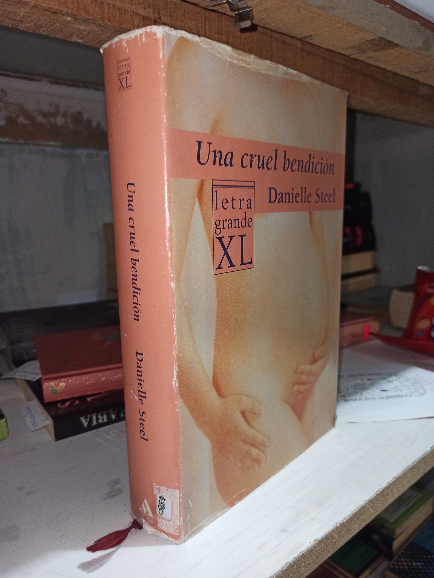 UNA CRUEL BENDICIÓN POR DANIELLE STEEL USADO NOVELAS JUÁREZ