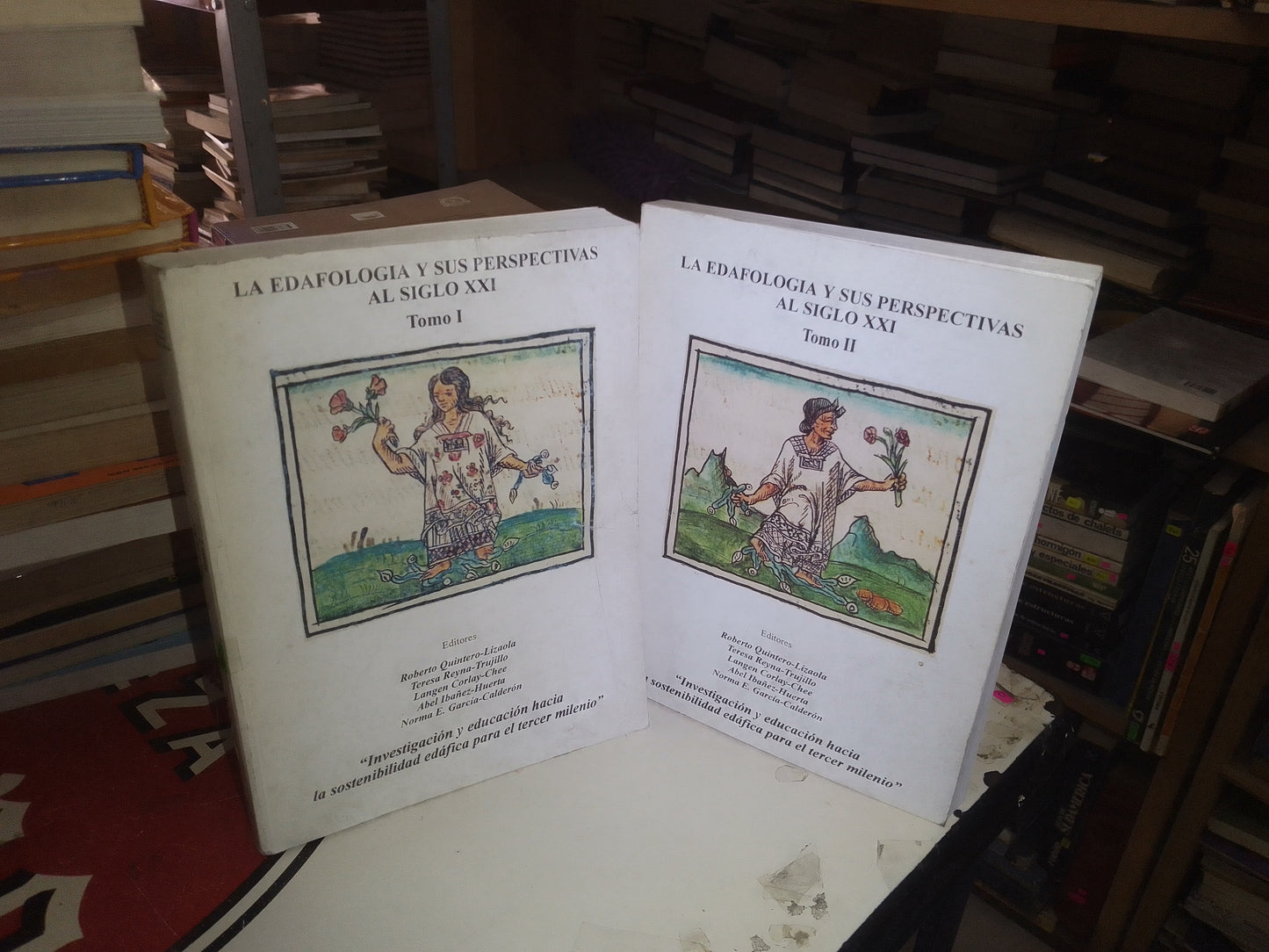LA EDAFOLOGIA Y SUS PERSPECTIVAS AL SIGLO XXI TOMOS I Y II ($100 CADA UNO) (VARIOS AUTORES) USADO EDUCACIÓN LITERARIO 207