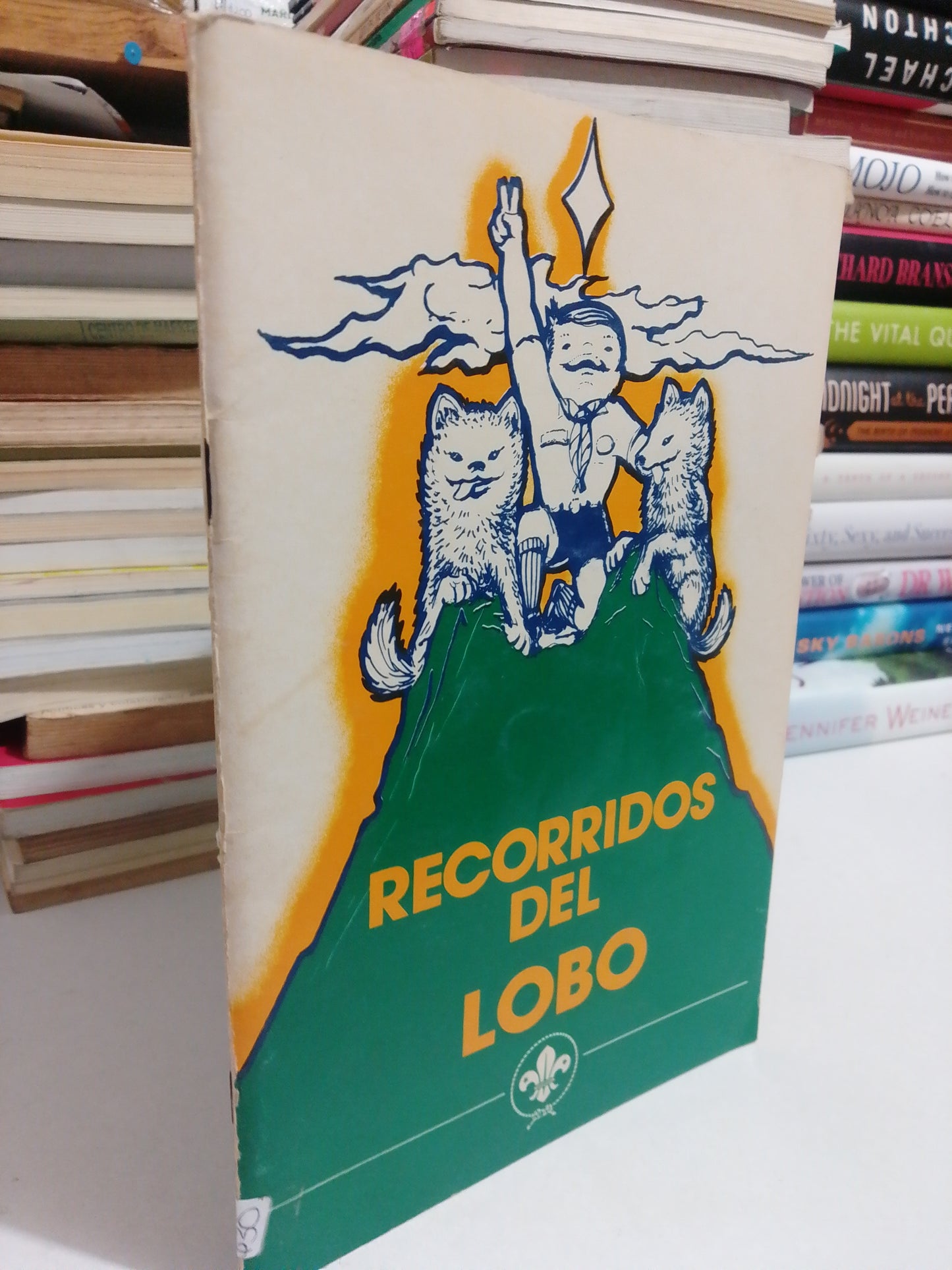 RECORRIDOS DEL LOBO ASOCIACIÓN DE SCOUTS DE MÉXICO USADO NOVELA JUÁREZ