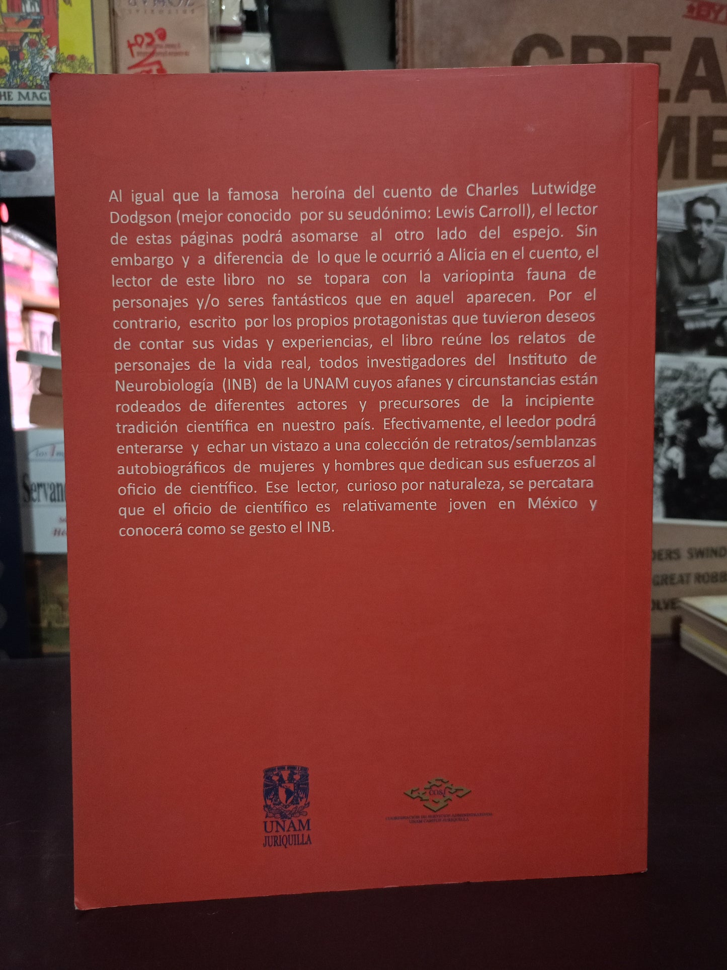 AL OTRO LADO DEL ESPEJO Y COMO DEVINE EN INVESTIGADOR USADO NOVELA LITERARIO 305