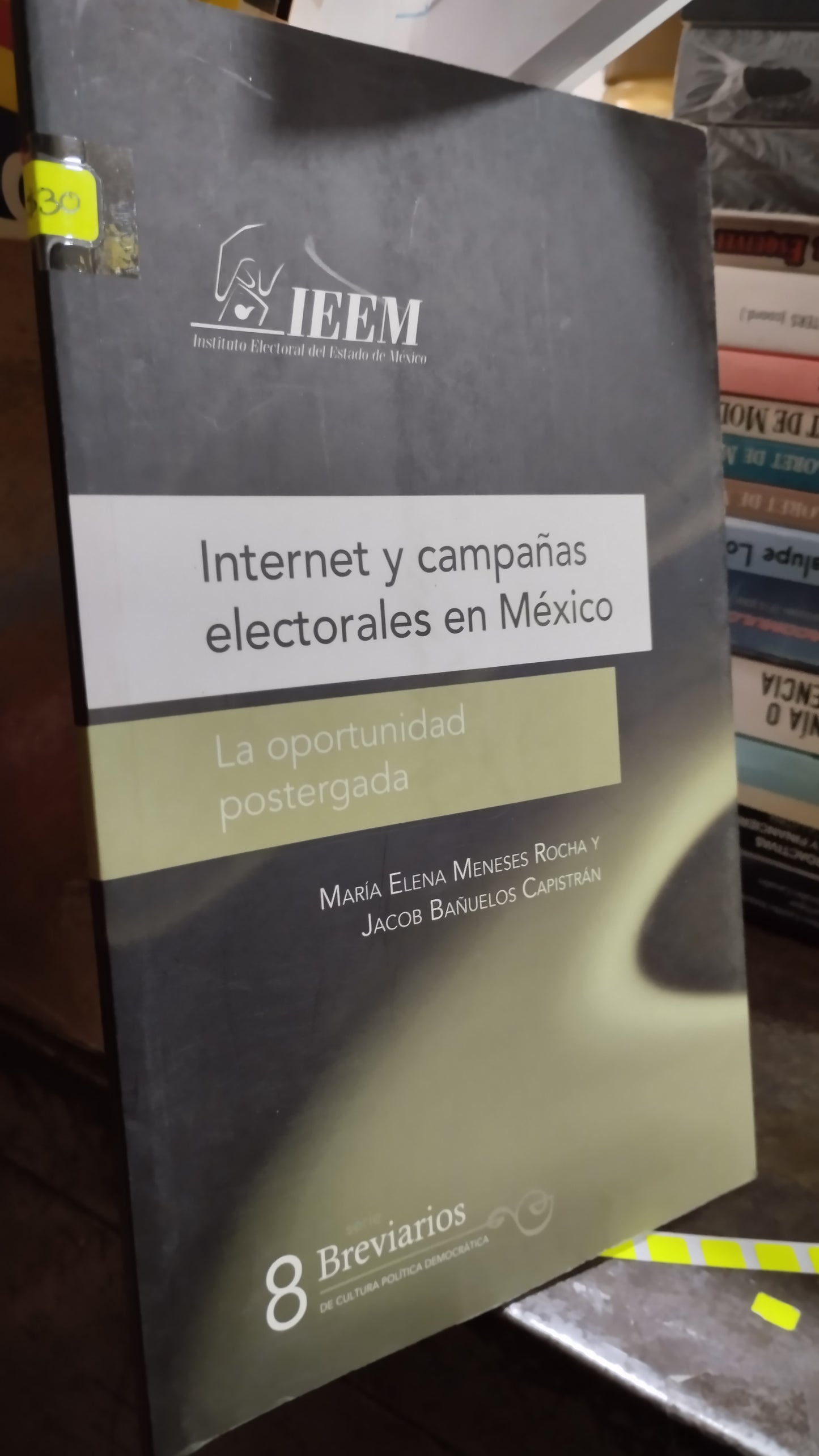 INTERNET Y CAMPAÑAS ELECTORALES EN MEXICO POR MARIA ELENA MENESES ROCHA LIBRO USADO POLITICA ALDAMA
