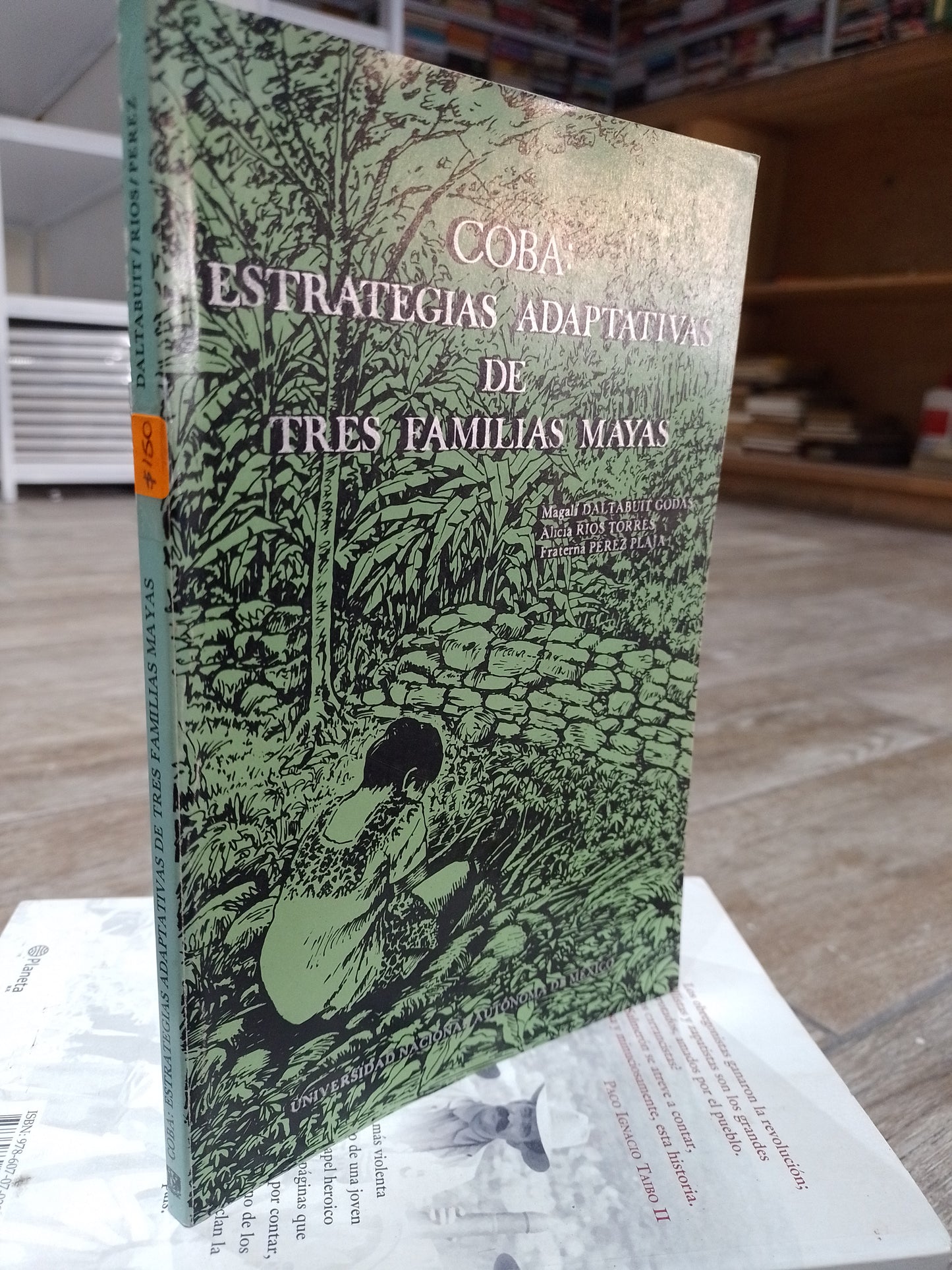 COBA ESTRATEGIAS ADAPTATIVAS DE TRES FAMILIAS MAYAS POR MAGALI DALTABUIT ALICIA RIOS TORRES FATERNA PEREZ PLAJA USADO HISTORIA JUAREZ 515