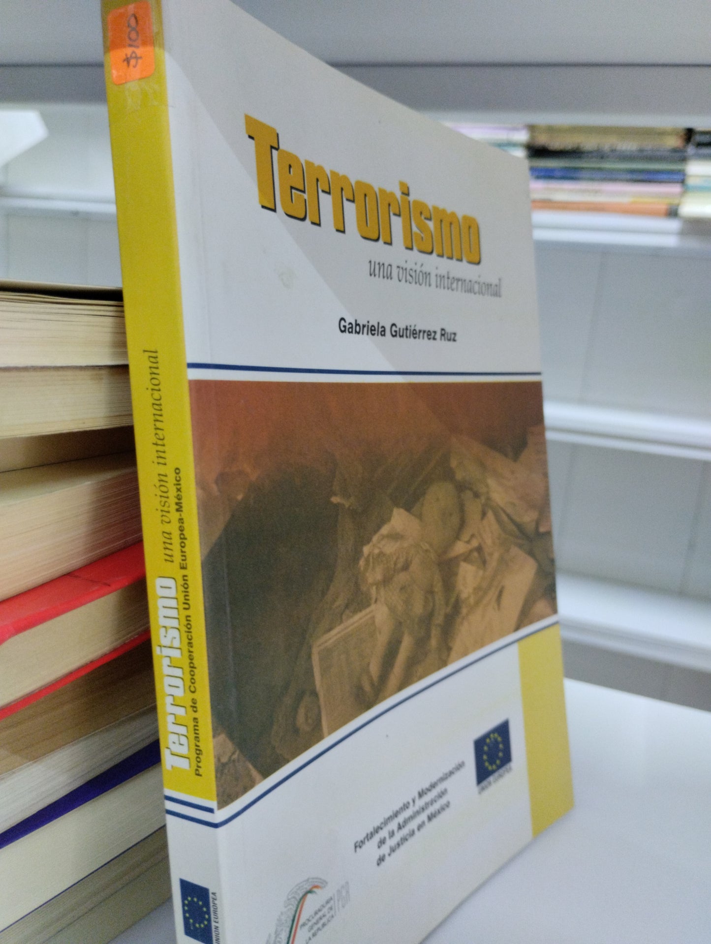 TERRORISMO UNA VISION INTERNACIONAL GABRIELA GUTIERREZ RUZ USADO POLITICA JUAREZ 515