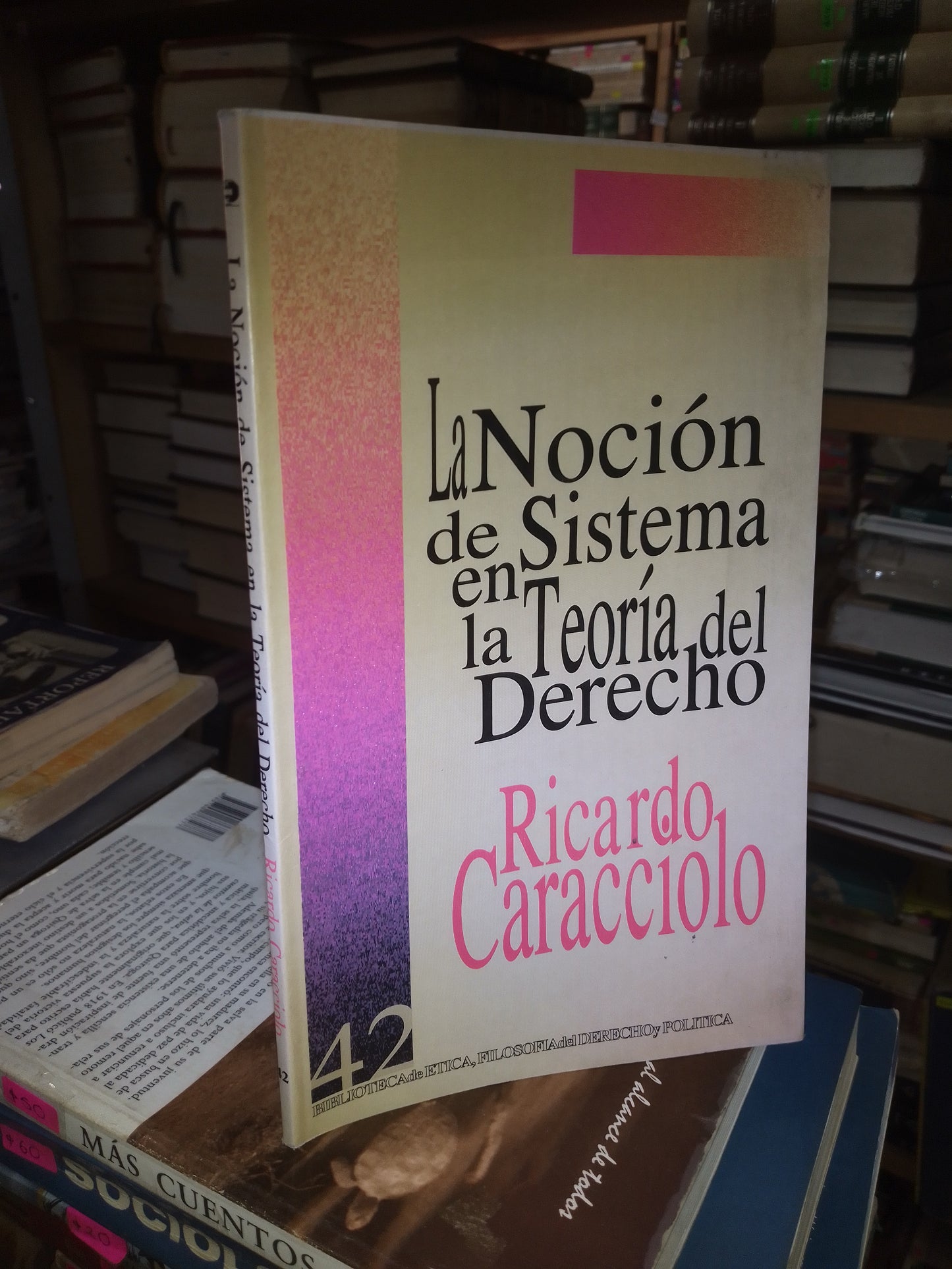 LA NOCIÓN DE SISTEMA EN LA TEORIA DEL DERECHO POR RICARDO CARACCIOLO USADO DERECHO LITERARIO 207
