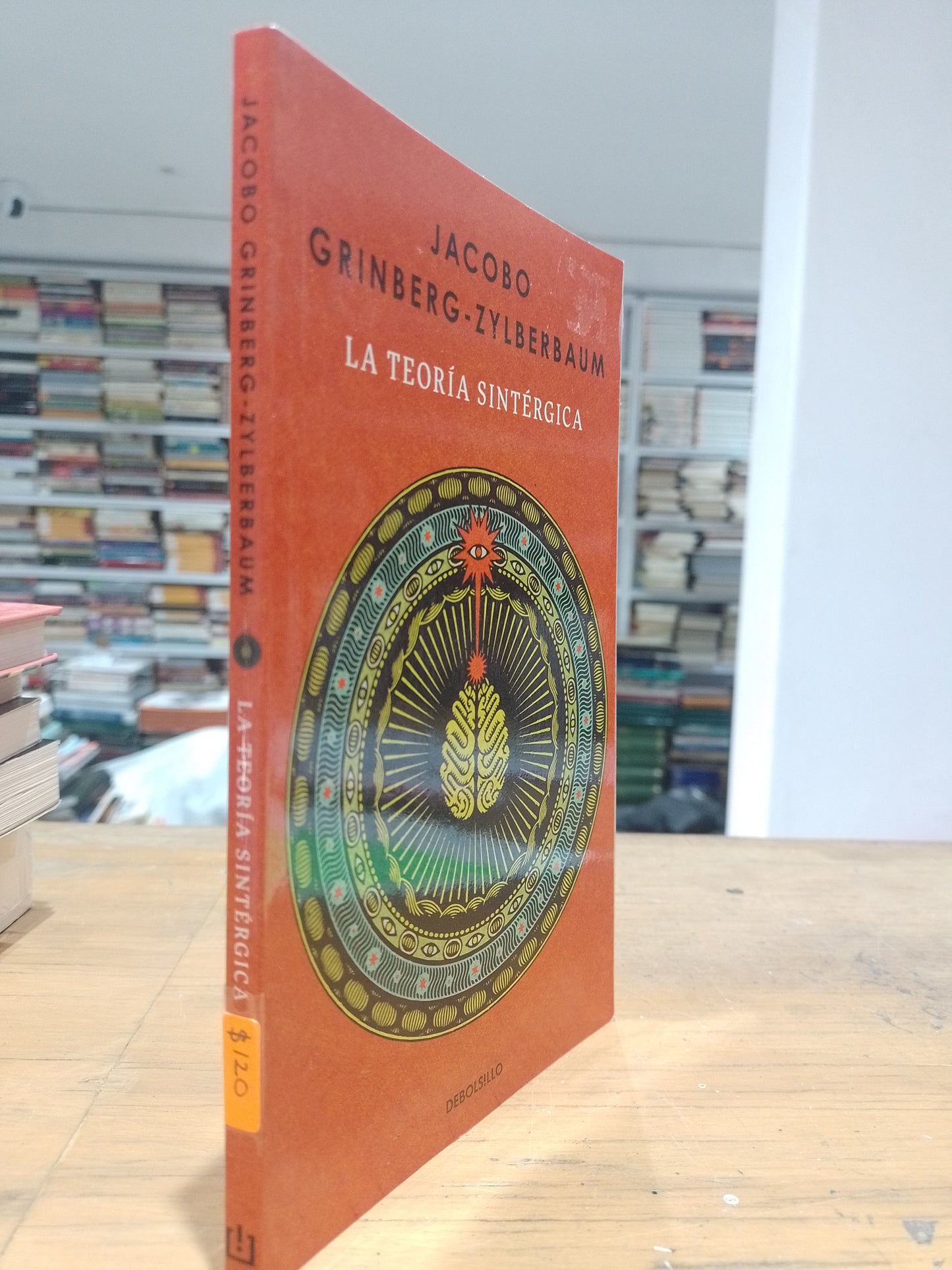 LA TEORIA SINTERGICA POR JACOBO GRINBERG ZYLBERBAUM USADO NOVELA JUAREZ 515