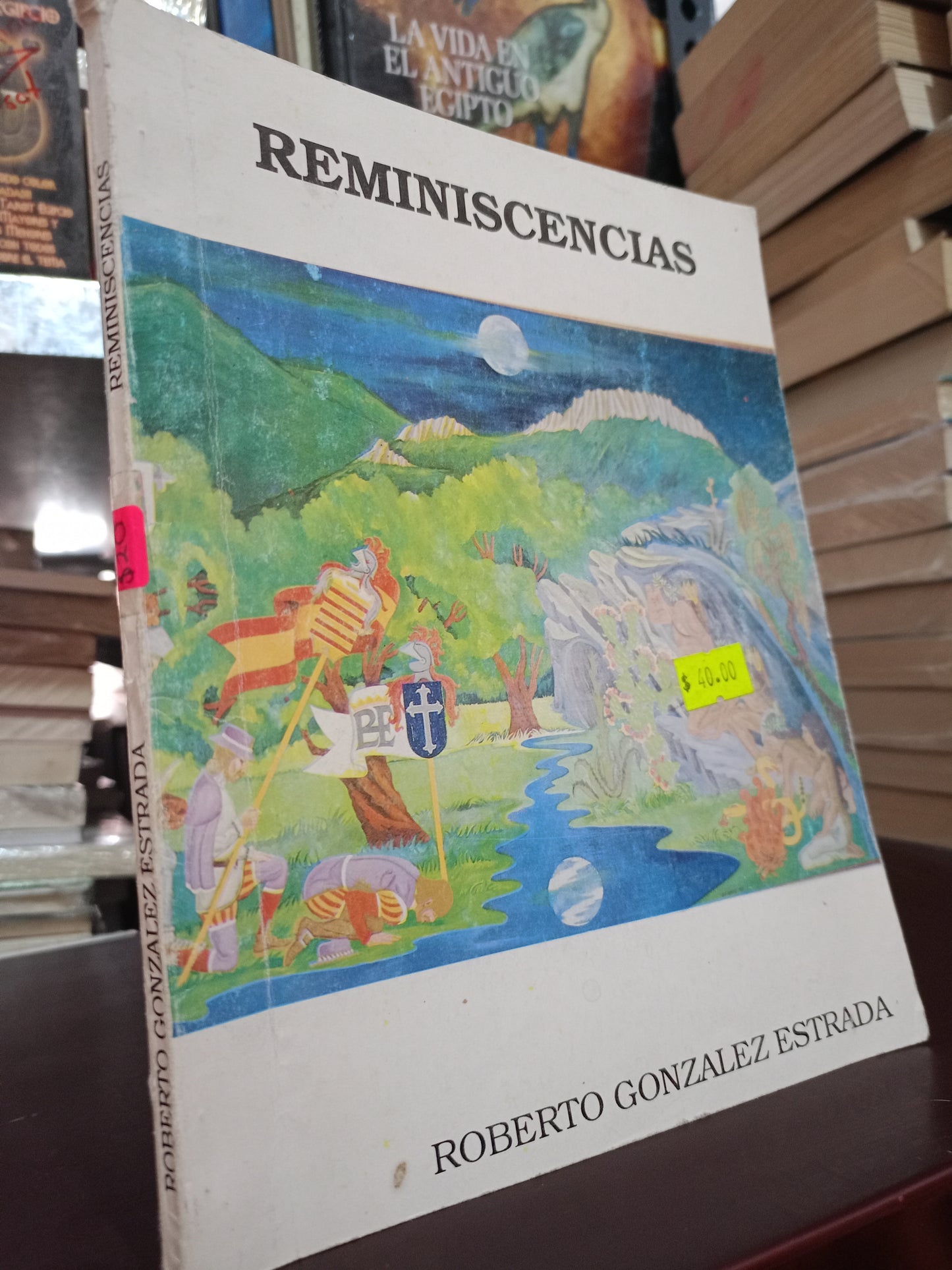 REMINISCENCIAS POR ROBERTO GONZALEZ ESTRADA USADO NOVELA LITERARIO 305
