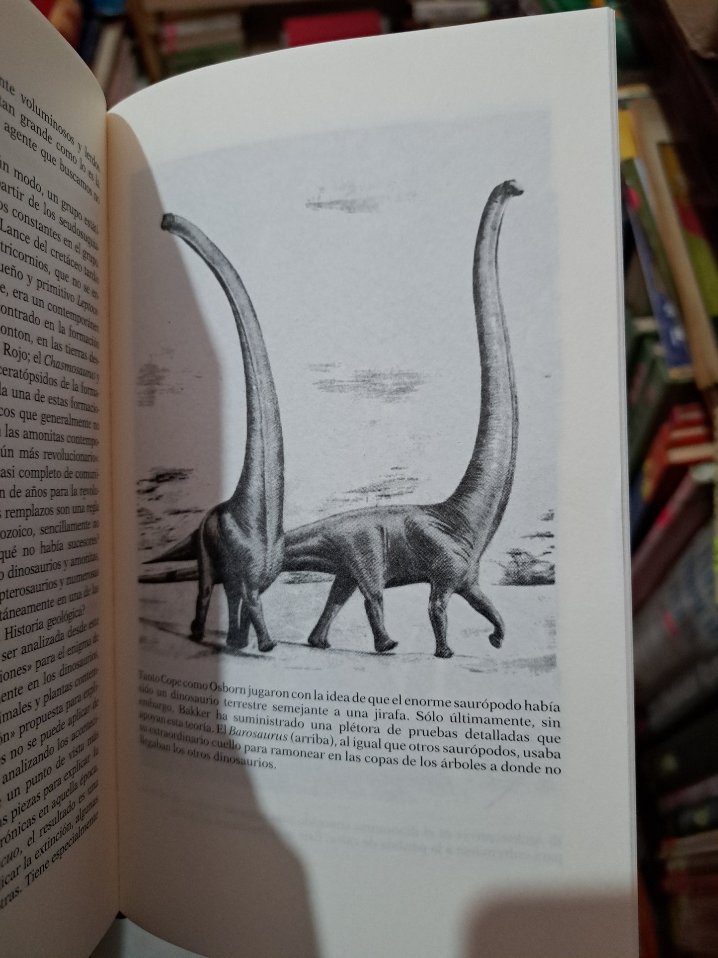 LOS DINOSAURIOS DE SANGRE CALIENTE ADRIÁN DESMOND USADO NOVELA LITERARIO 305