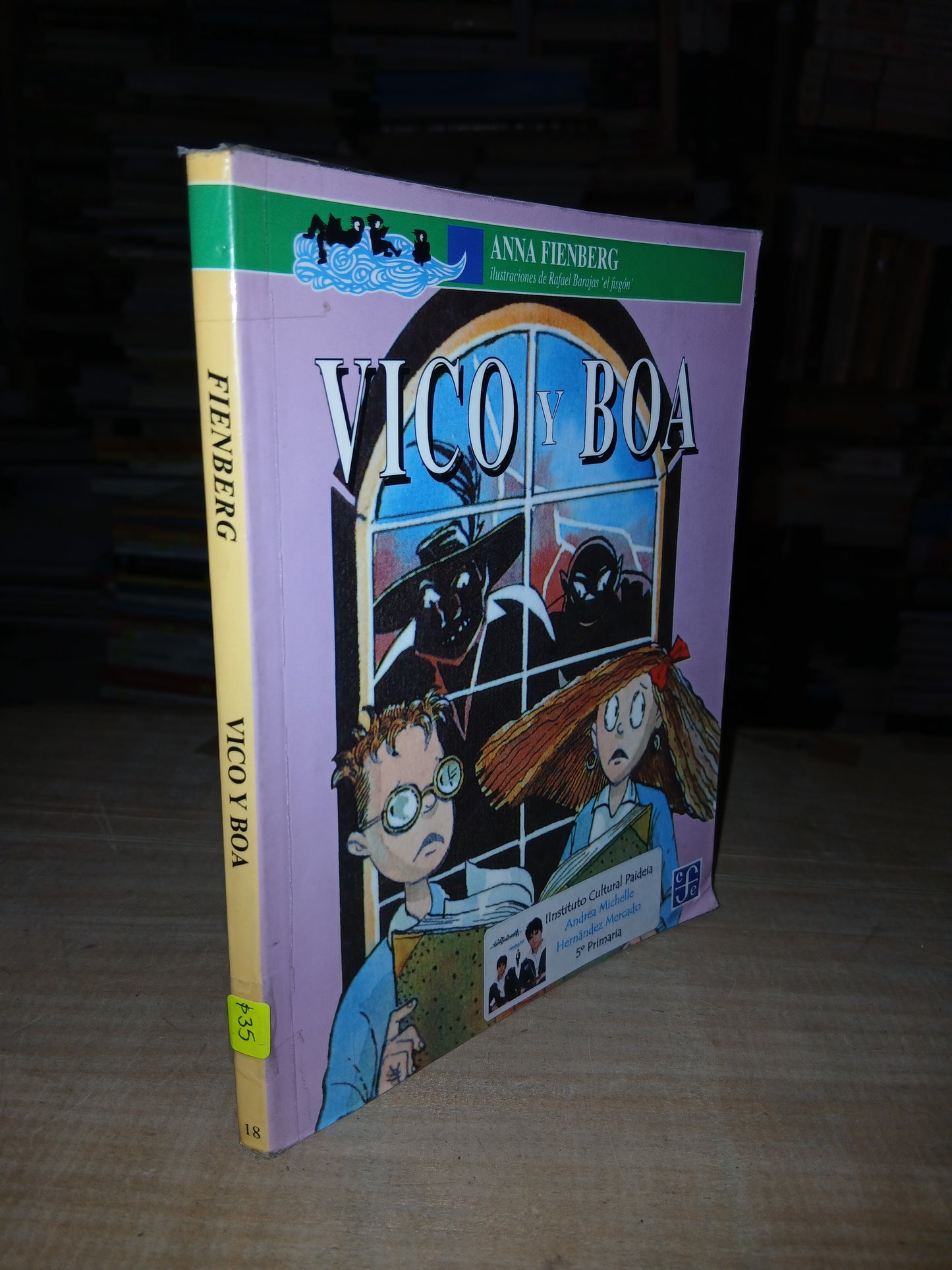 VICO Y BOA POR ANNA FIENBERG USADO INFANTIL LITERARIO 207