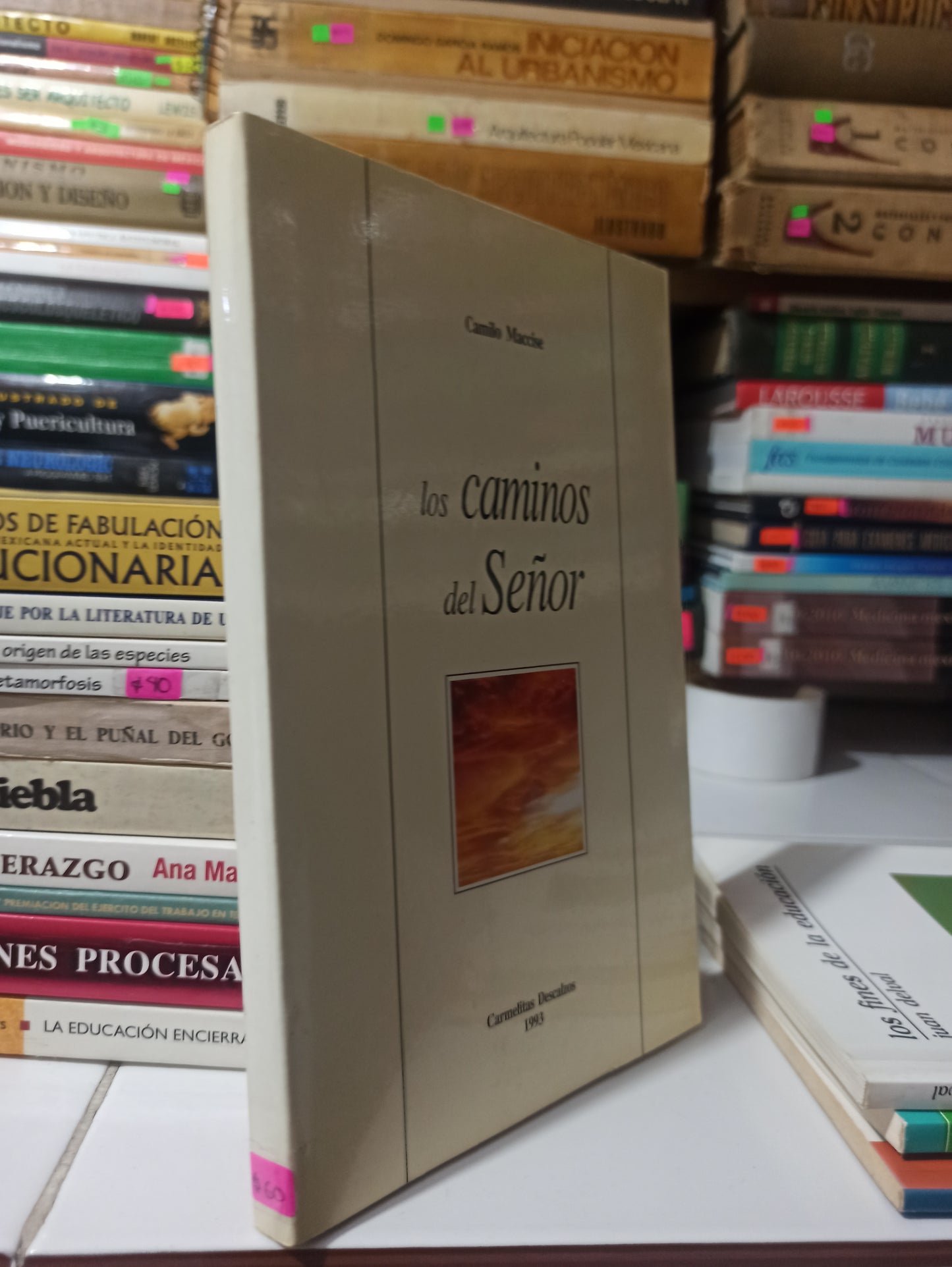 LOS CAMINOS DEL SEÑOR POR CAMILO MACCISE USADO RELIGIÓN JUÁREZ