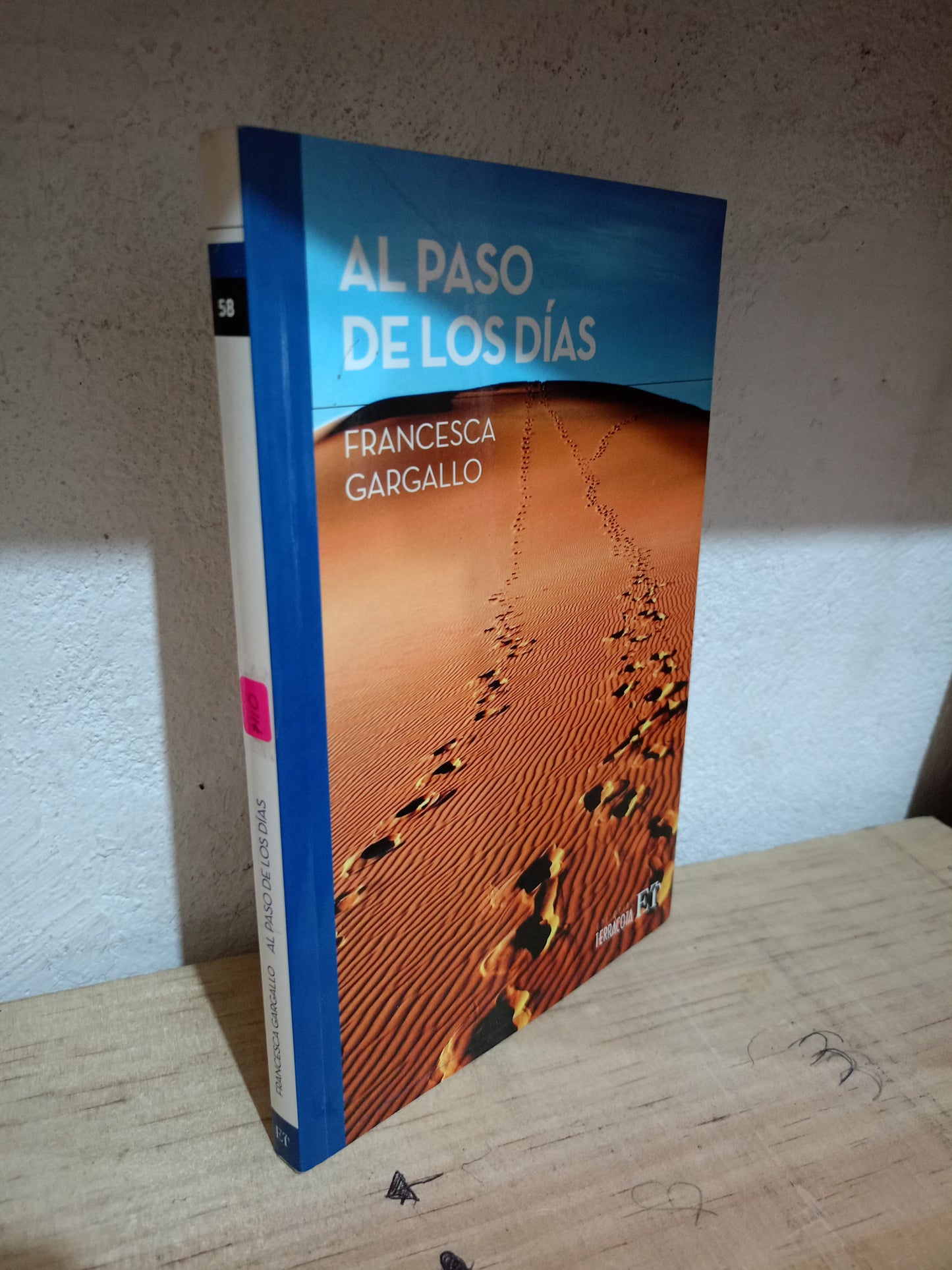 AL PASO DE LOS DÍAS POR FRANCESCA GARGALLO USADO NOVELA LITERARIO 305