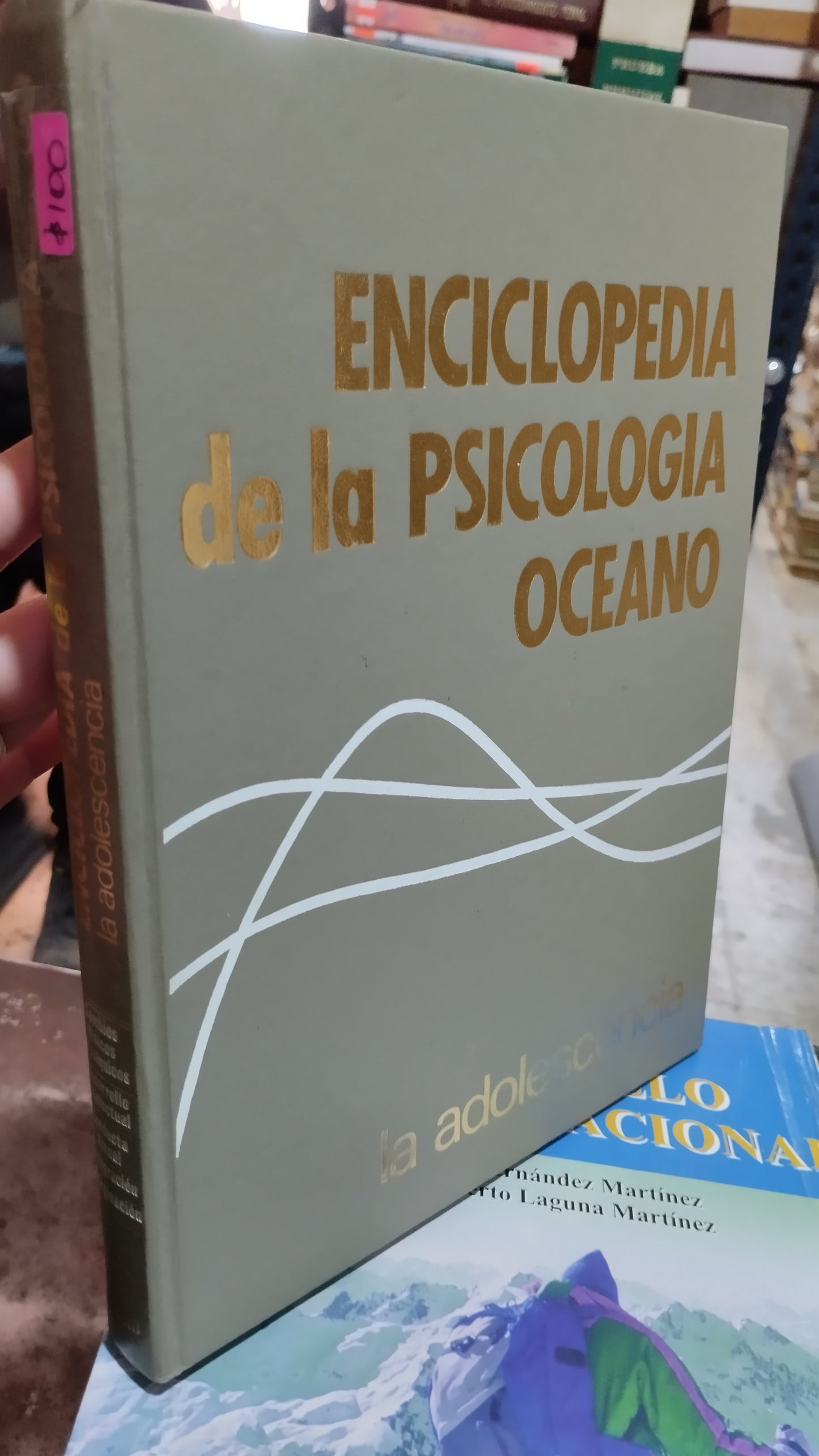 ENCICLOPEDIA DE LA PSICÓLOGIA LA ADOLESCENCIA POR EDITORIAL OCEANO LIBRO USADO PSICOLOGÍA ALDAMA