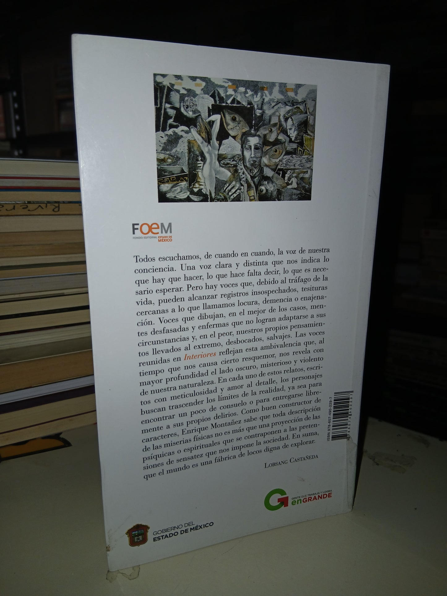 INTERIORES POR ENRIQUE MONTAÑEZ USADO ANTOLOGÍA LITERARIO 207