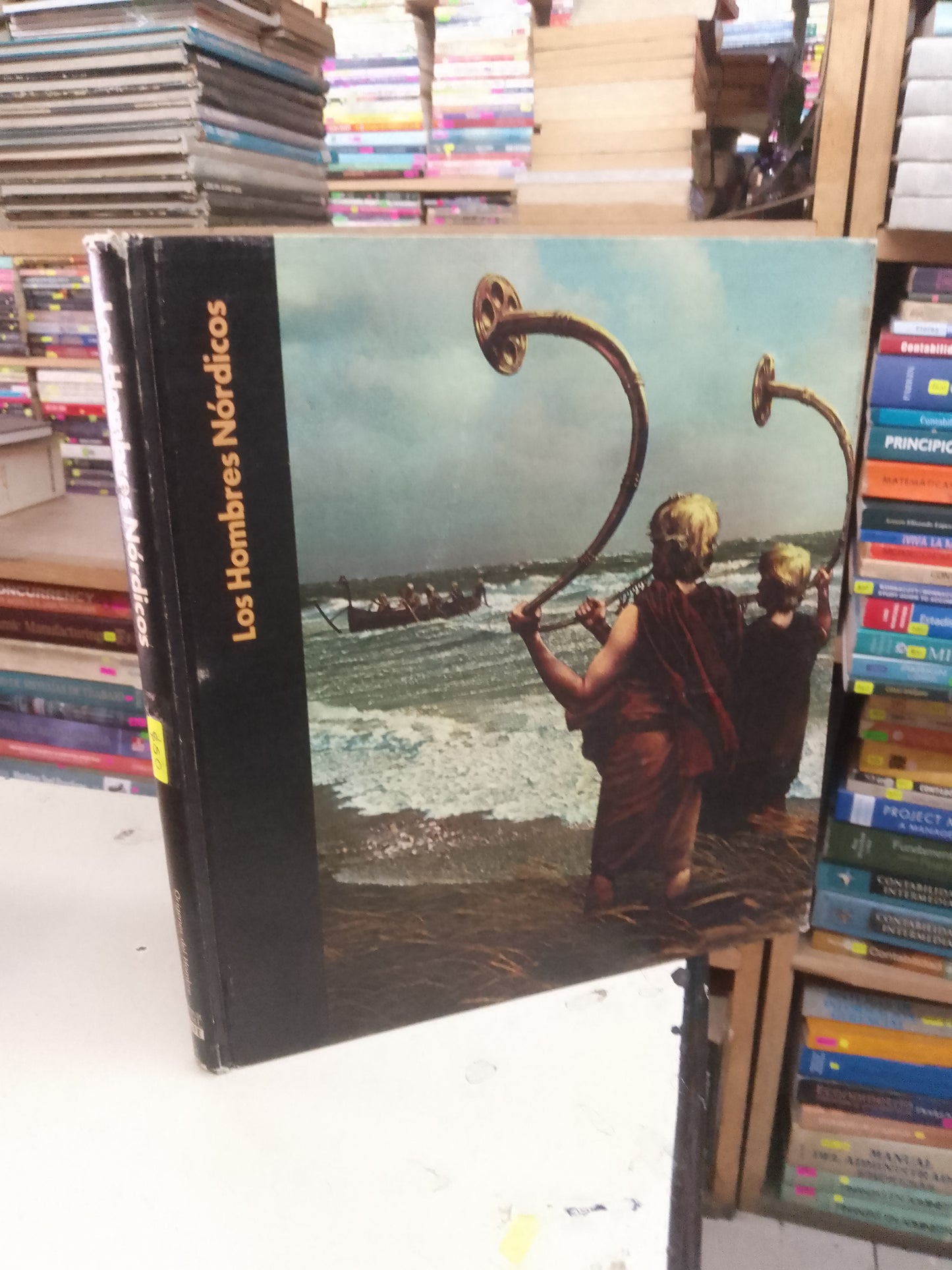 LOS HOMBRES NÓRDICOS POR THOMAS FRONCEK USADO HISTORIA LITERARIO 207