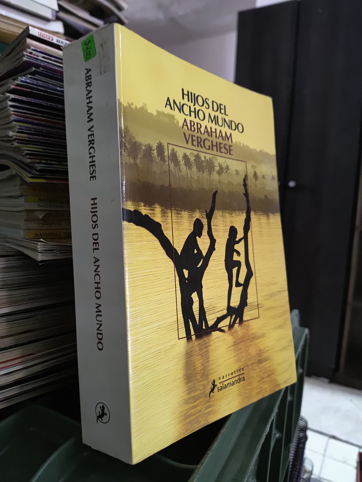HIJOS DEL MUNDO POR ABRAHAM VERGHESE USADO NOVELAS JUAREZ 515