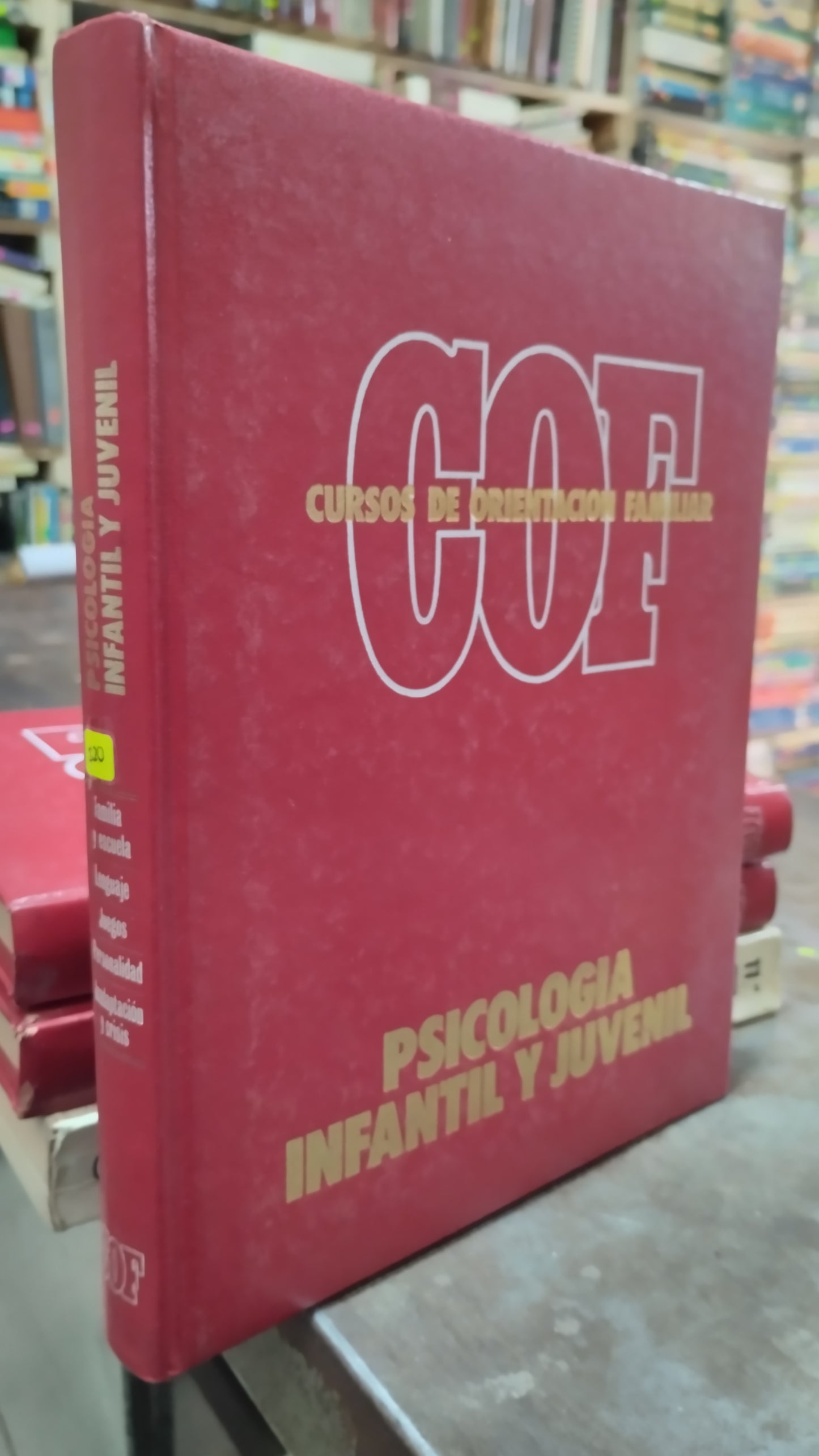 PSICOLOGIA INFANTIL Y JUVENIL POR EDITORIAL COF LIBRO USADO SALUD ALDAMA