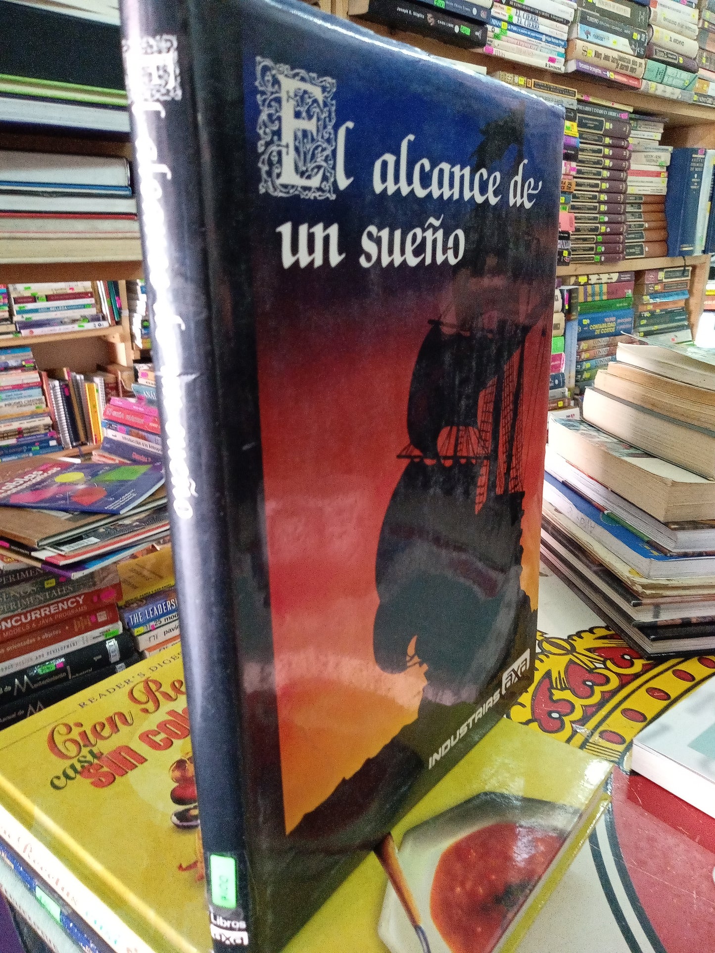 EL ALCANCE DE UN SUEÑO USADO HISTORIA LITERARIO 207