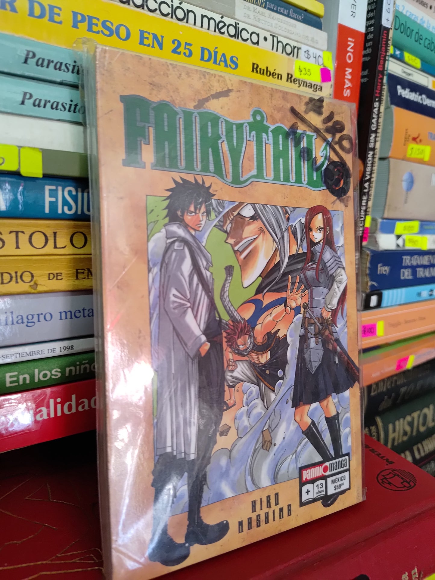 FAIRY TAIL POR HIRO MASHIMA USADO NOVELAS LITERARIO 305 TOMOS 1 2 Y 3 $120 C/U