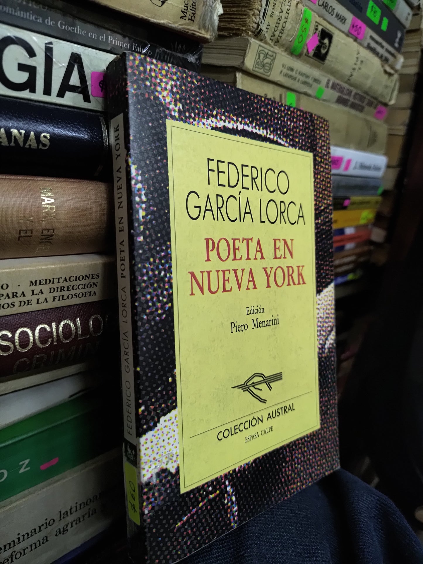 POETA EN NUEVA YORK POR FEDERICO GARCIA LORCA USADO POESIA LITERARIO 207