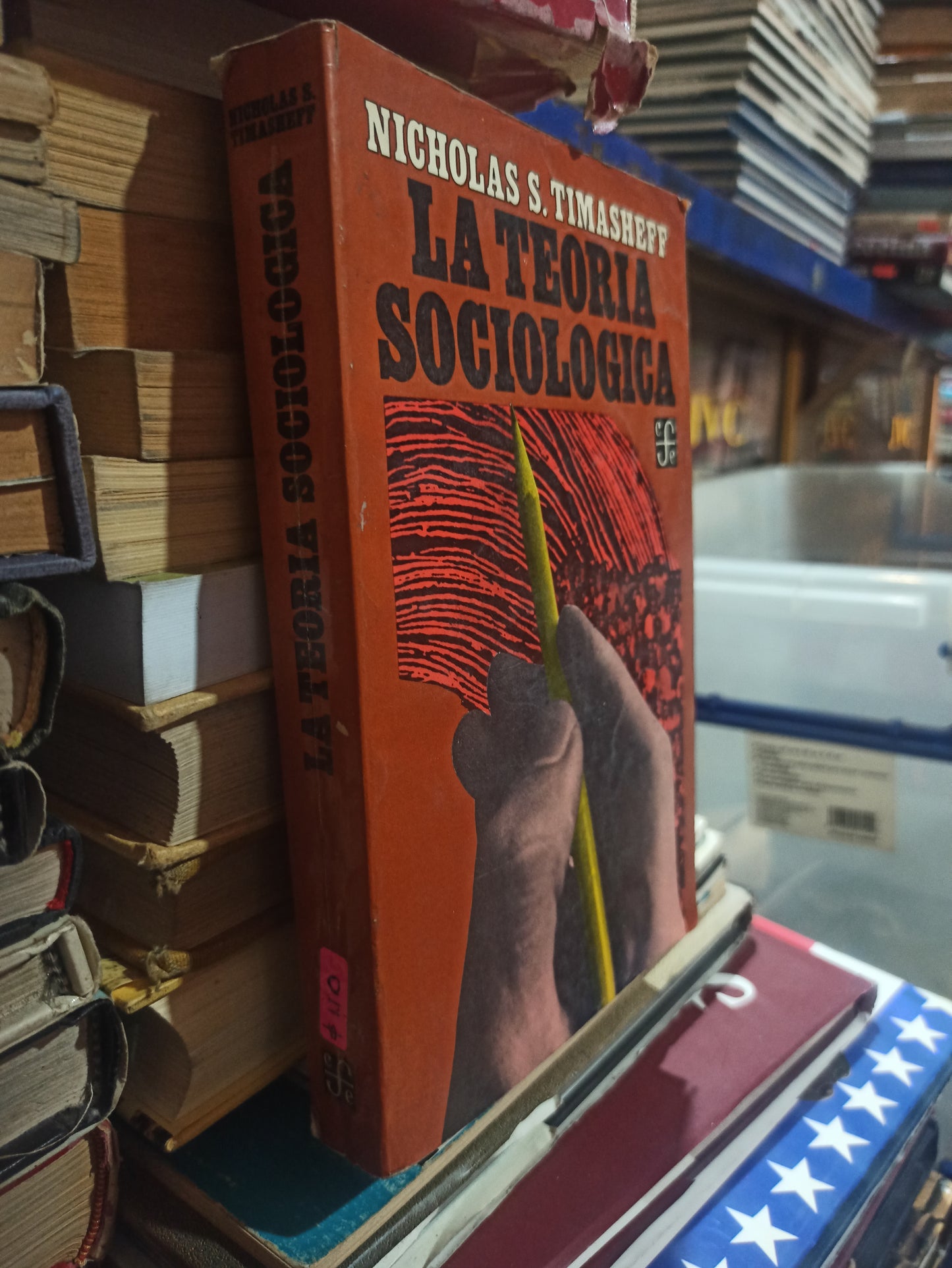 LA TEORIA SOCIOLOGICA POR NICHOLAS S. TIMASHEFF USADO SOCIOLOGÍA ALDAMA