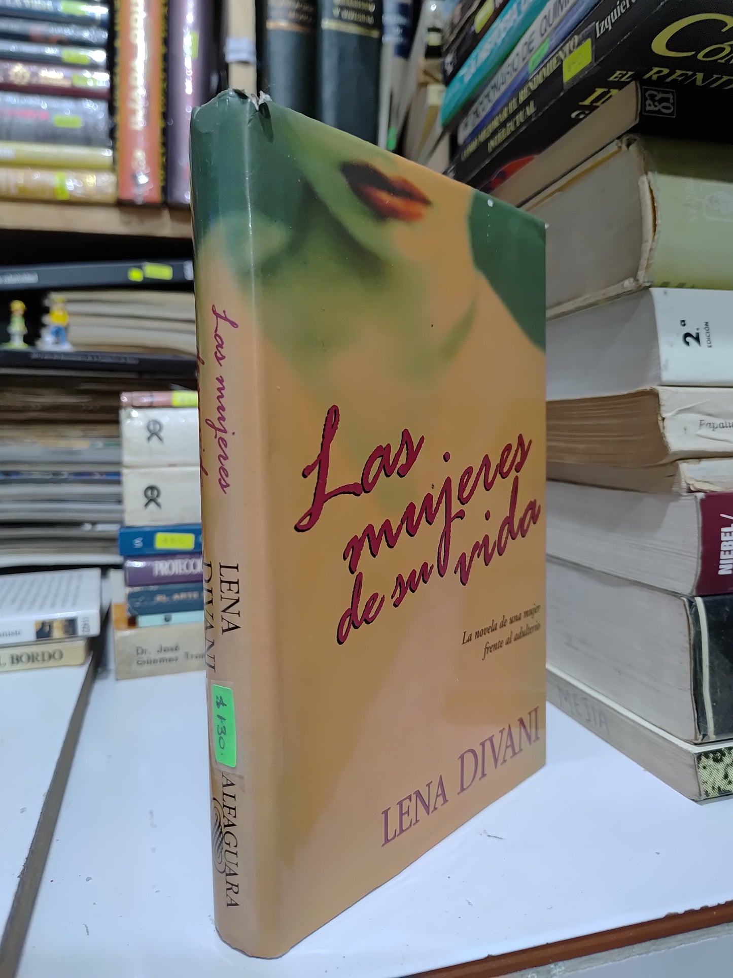 LAS MUJERES DE SU VIDA POR LENA DIVANI USADO NOVELAS JUAREZ