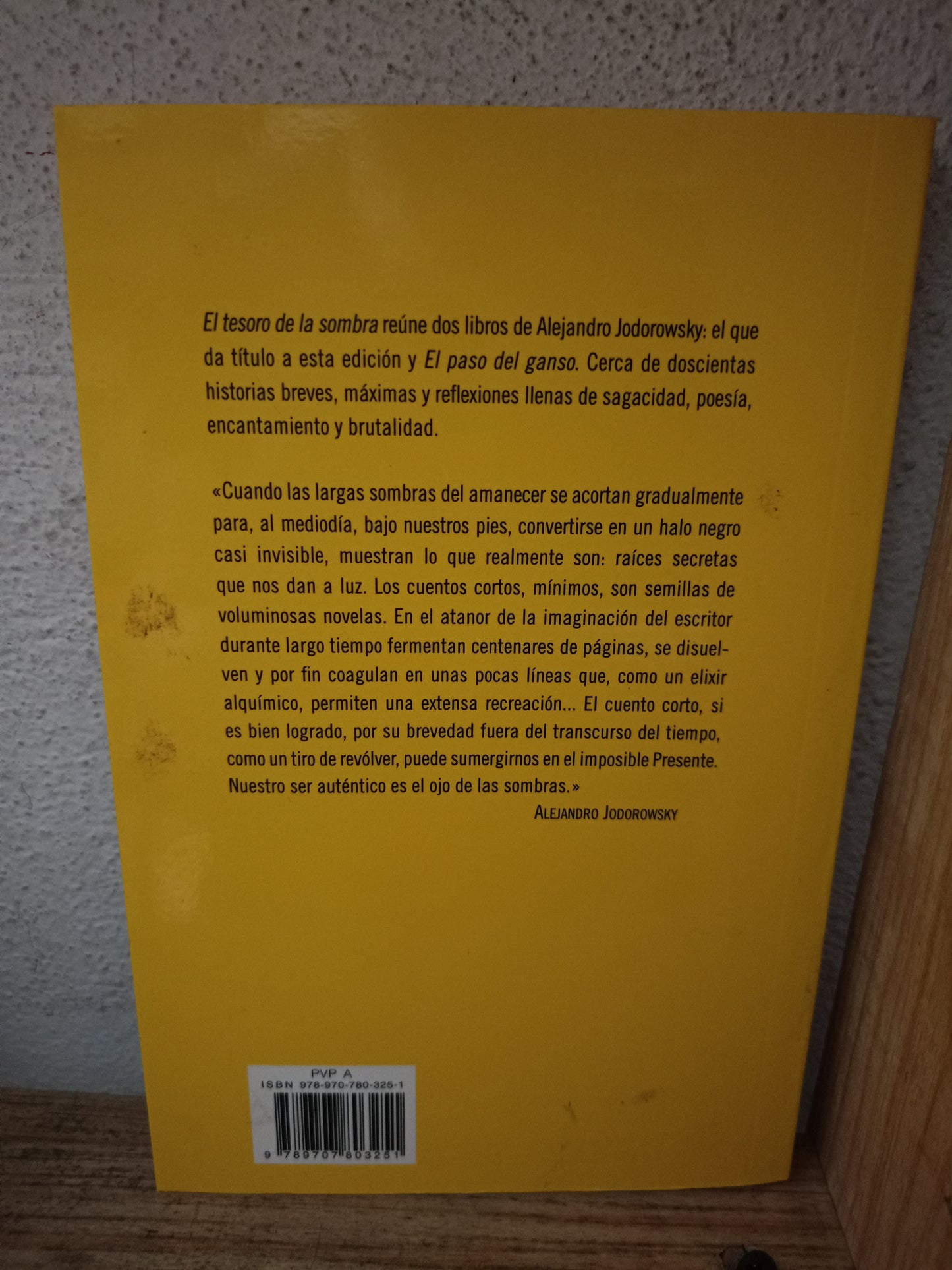 EL TESORO DE LA SOMBRA POR ALEJANDRO JODOROWSKY USADO NOVELA LITERARIO 305
