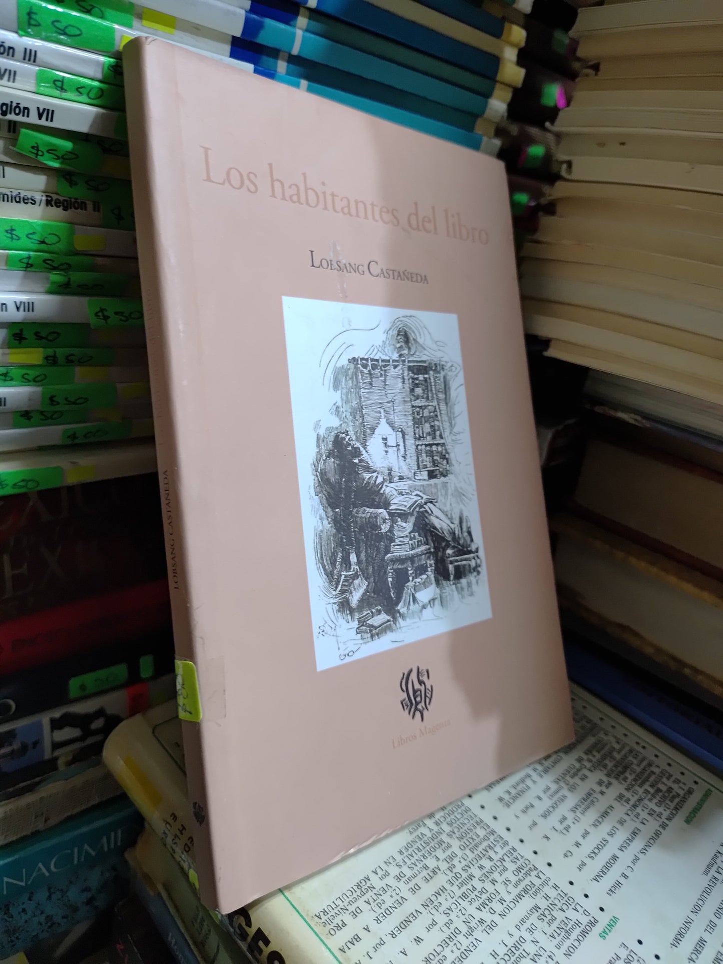 LOS HABITANTES DEL LIBRO POR LOESANG CASTAÑEDA USADO NOVELAS JUAREZ 507